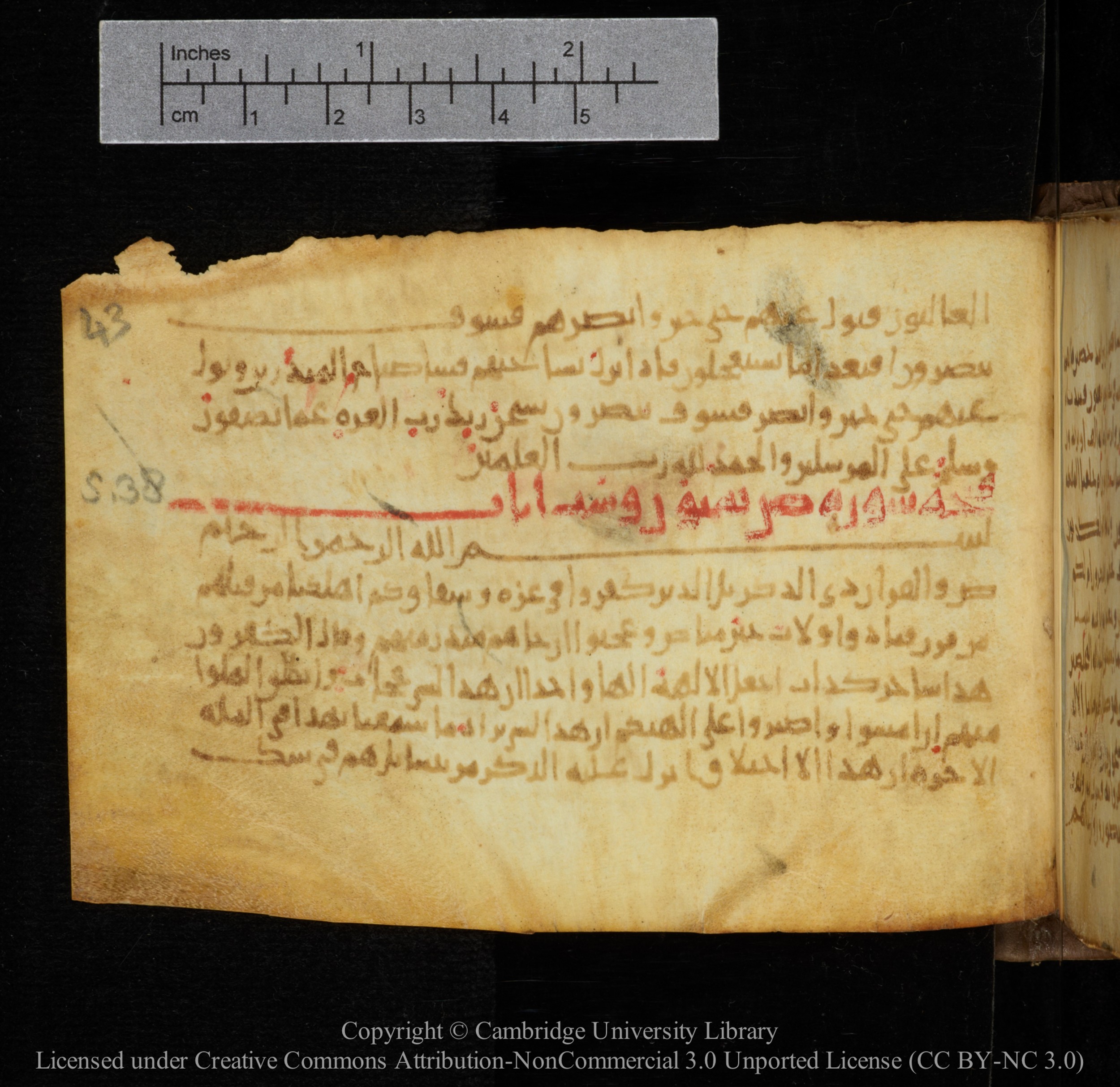 Cambridge, Cambridge University Library, MS Add.1141, in kūfī script, showing Surah 37:175 from 10th to 12th Century AD found in Sinai Peninsula, currently housed at Cambridge University Library, Cambridge