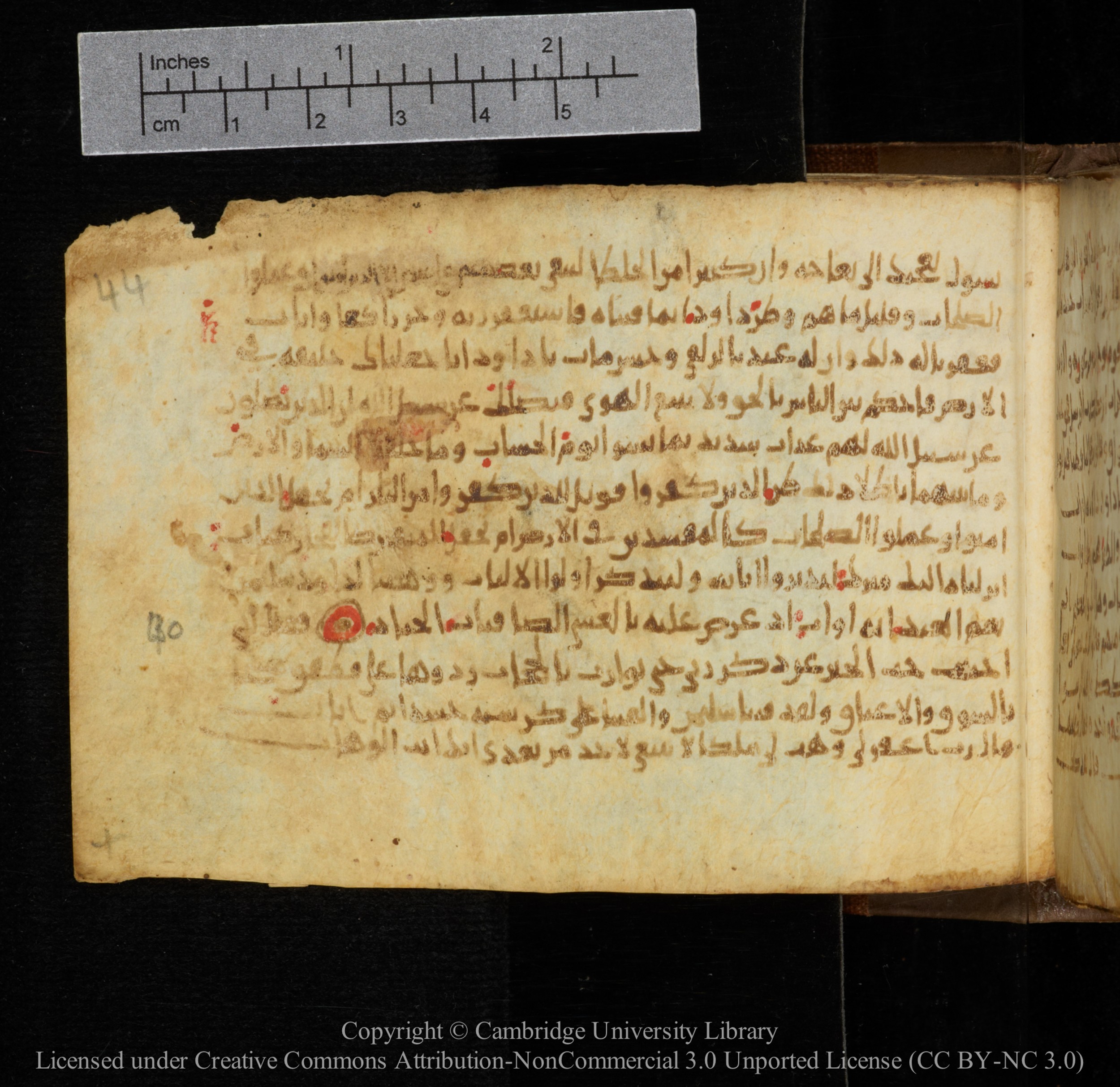 Cambridge, Cambridge University Library, MS Add.1141, in kūfī script, showing Surah 38:35 from 10th to 12th Century AD found in Sinai Peninsula, currently housed at Cambridge University Library, Cambridge