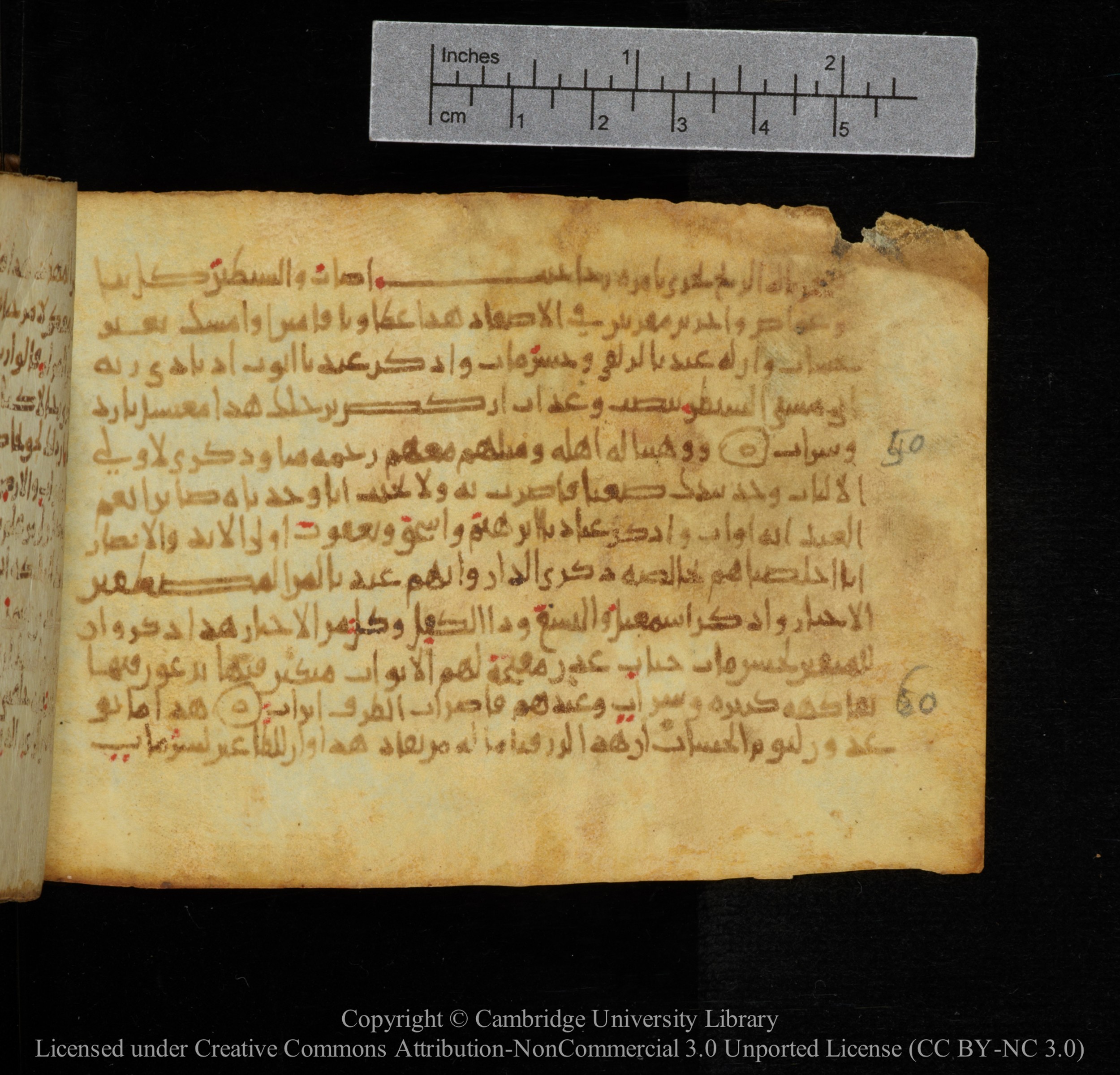 Cambridge, Cambridge University Library, MS Add.1141, in kūfī script, showing Surah 38:39 from 10th to 12th Century AD found in Sinai Peninsula, currently housed at Cambridge University Library, Cambridge