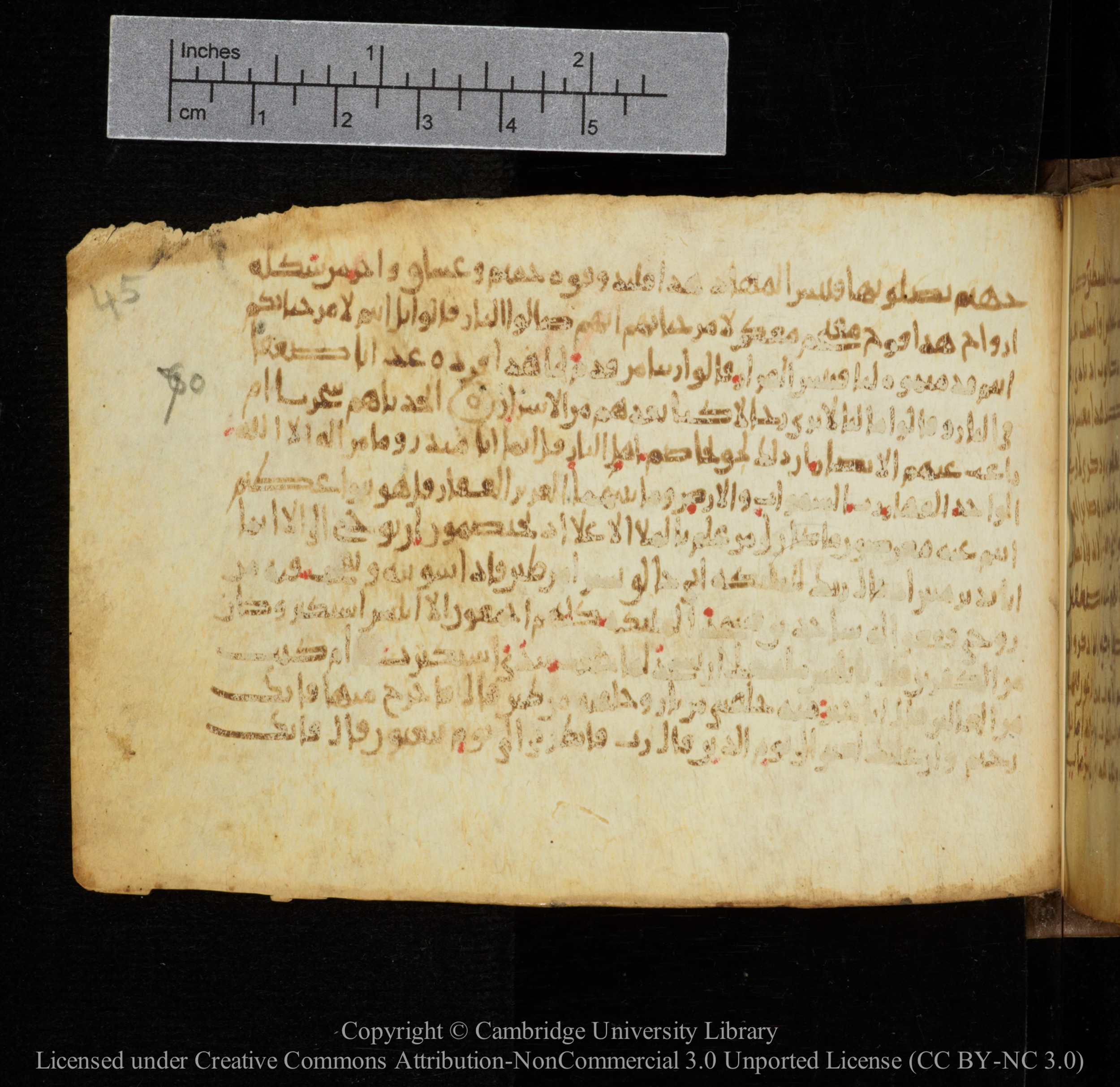Cambridge, Cambridge University Library, MS Add.1141, in kūfī script, showing Surah 38:76 from 10th to 12th Century AD found in Sinai Peninsula, currently housed at Cambridge University Library, Cambridge
