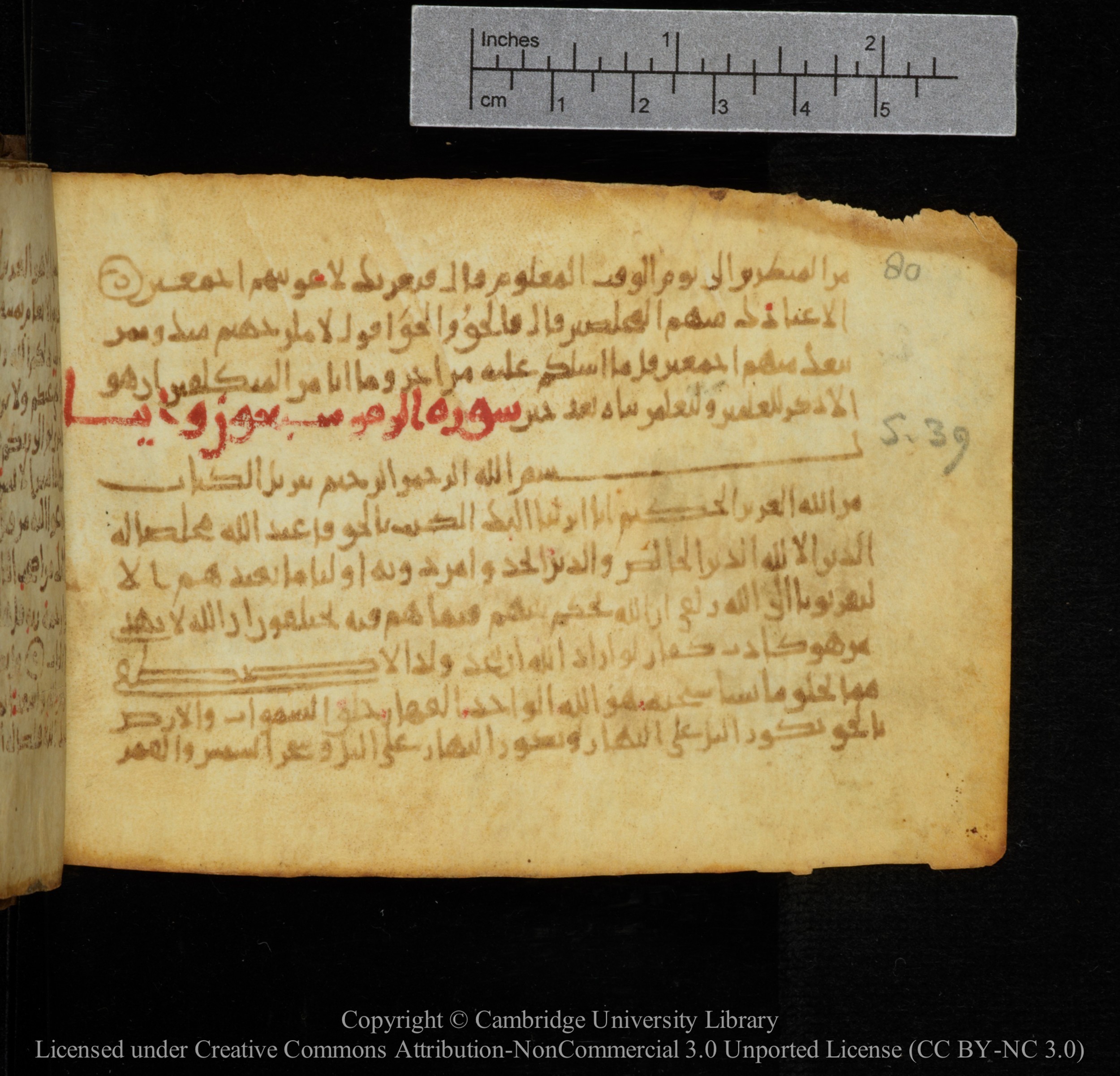 Cambridge, Cambridge University Library, MS Add.1141, in kūfī script, showing Surah 39:4 from 10th to 12th Century AD found in Sinai Peninsula, currently housed at Cambridge University Library, Cambridge