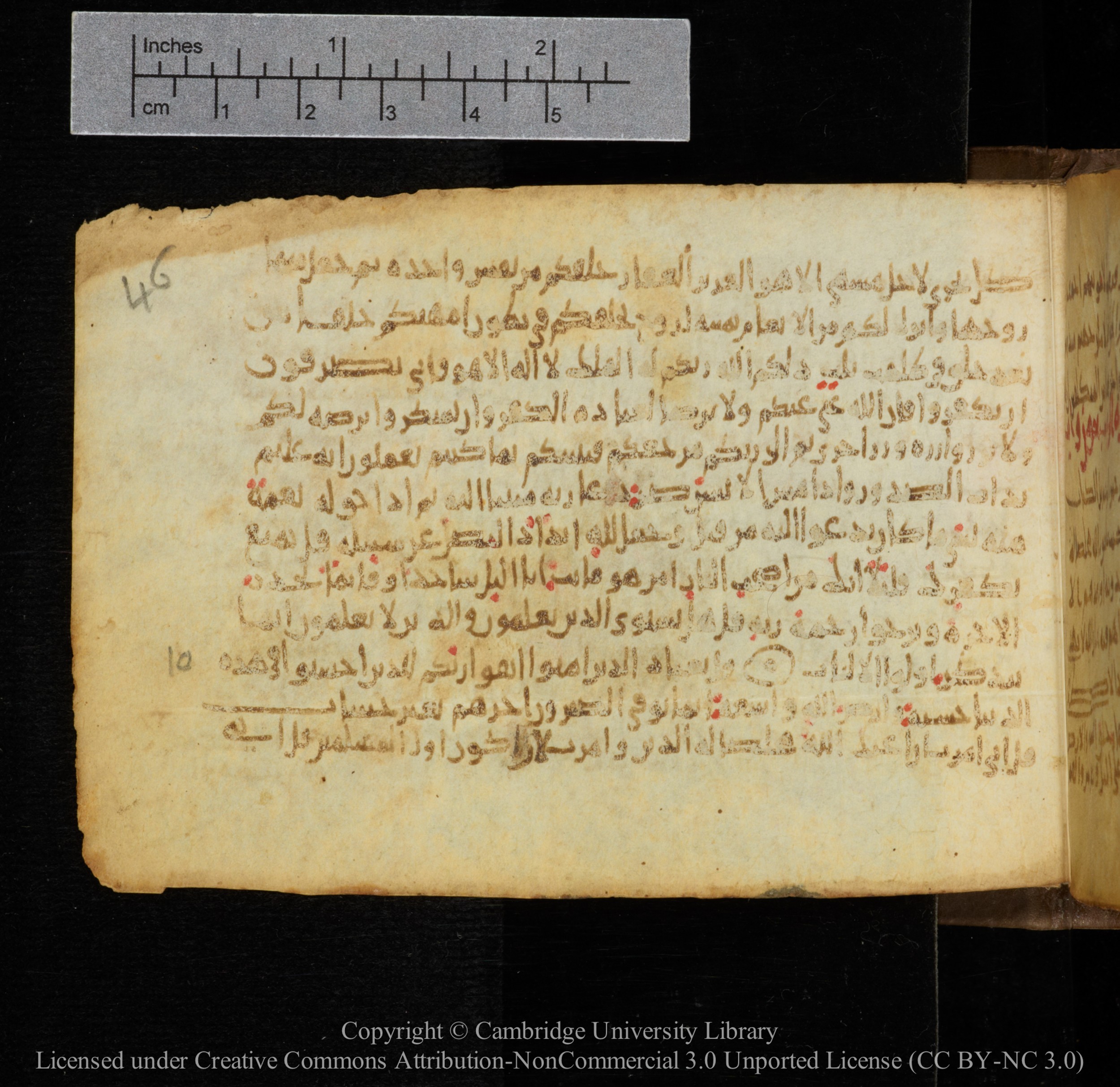 Cambridge, Cambridge University Library, MS Add.1141 (Scan 1), in kūfī script, showing Surah 39:13 from 10th to 12th Century AD found in Sinai Peninsula, currently housed at Cambridge University Library, Cambridge