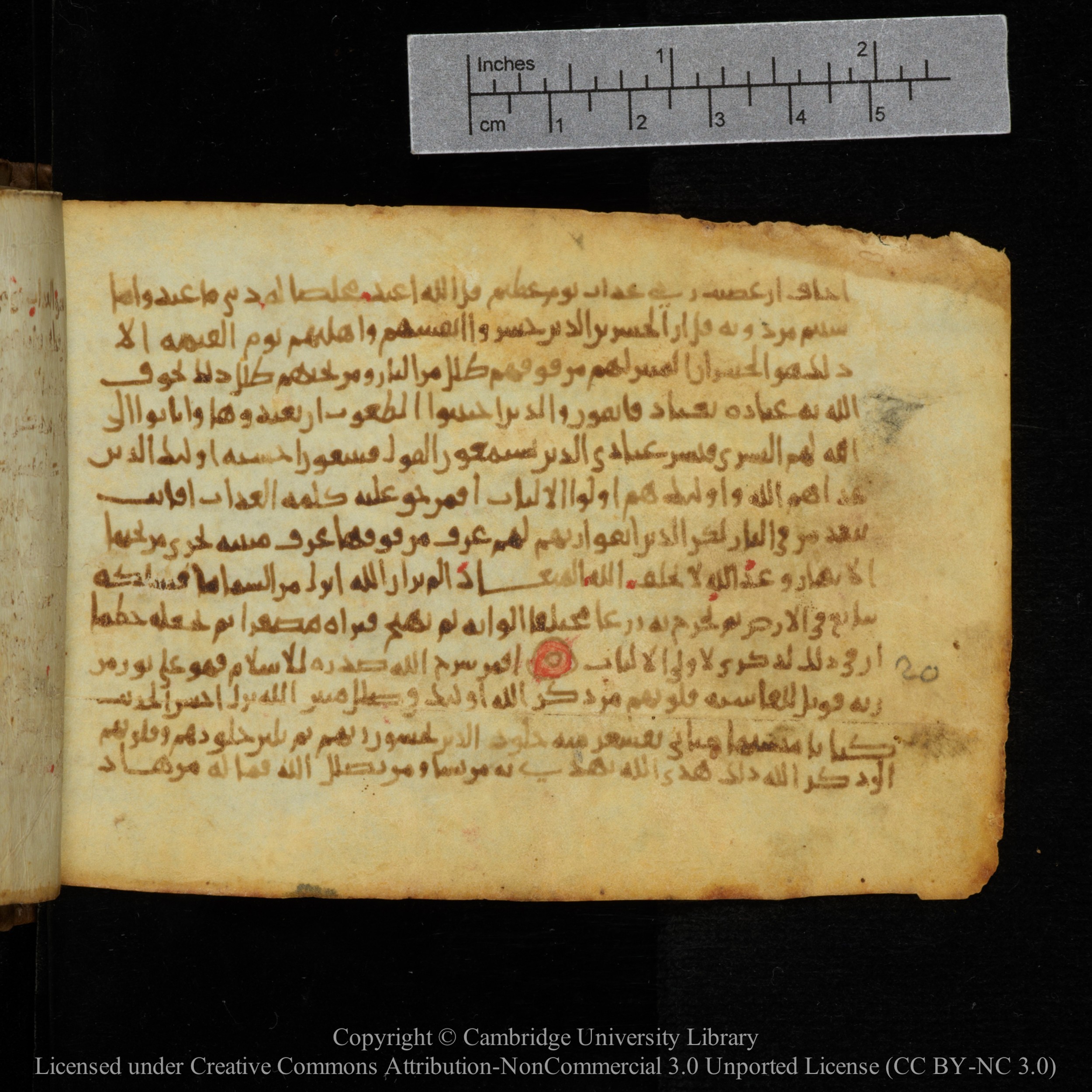 Cambridge, Cambridge University Library, MS Add.1141 (Scan 2), in kūfī script, showing Surah 39:13 from 10th to 12th Century AD found in Sinai Peninsula, currently housed at Cambridge University Library, Cambridge