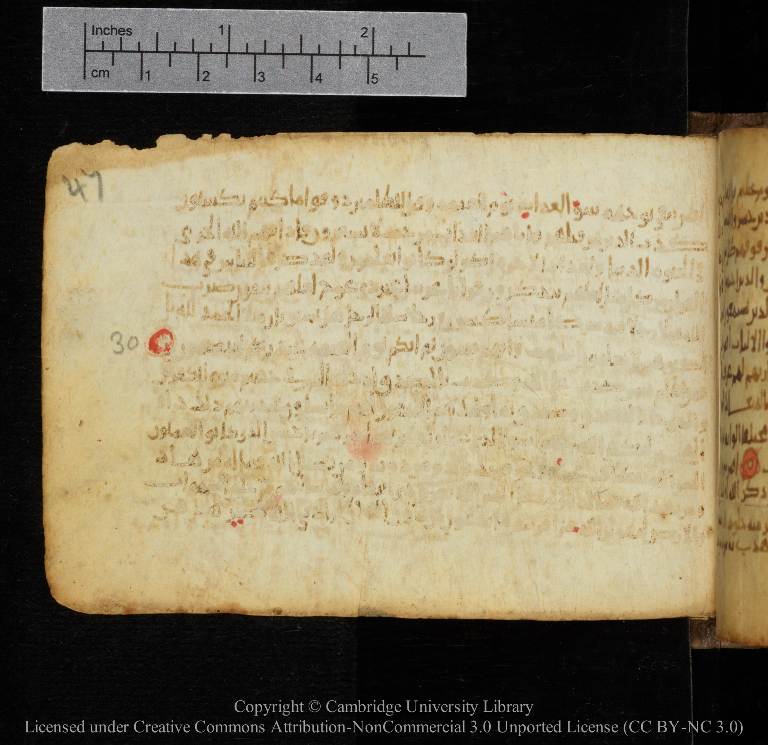 Cambridge, Cambridge University Library, MS Add.1141, in kūfī script, showing Surah 39:32 from 10th to 12th Century AD found in Sinai Peninsula, currently housed at Cambridge University Library, Cambridge