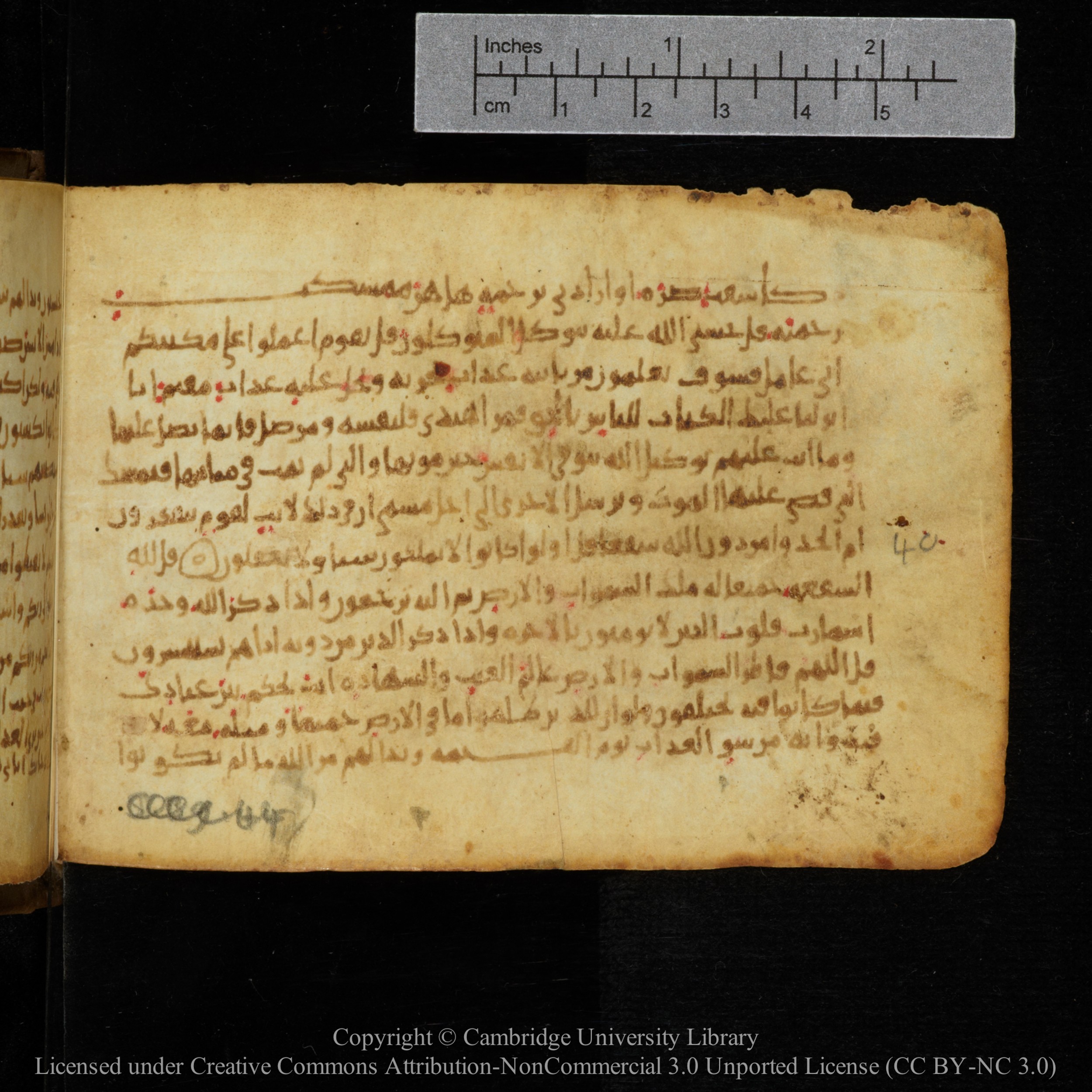 Cambridge, Cambridge University Library, MS Add.1141, in kūfī script, showing Surah 39:46 from 10th to 12th Century AD found in Sinai Peninsula, currently housed at Cambridge University Library, Cambridge