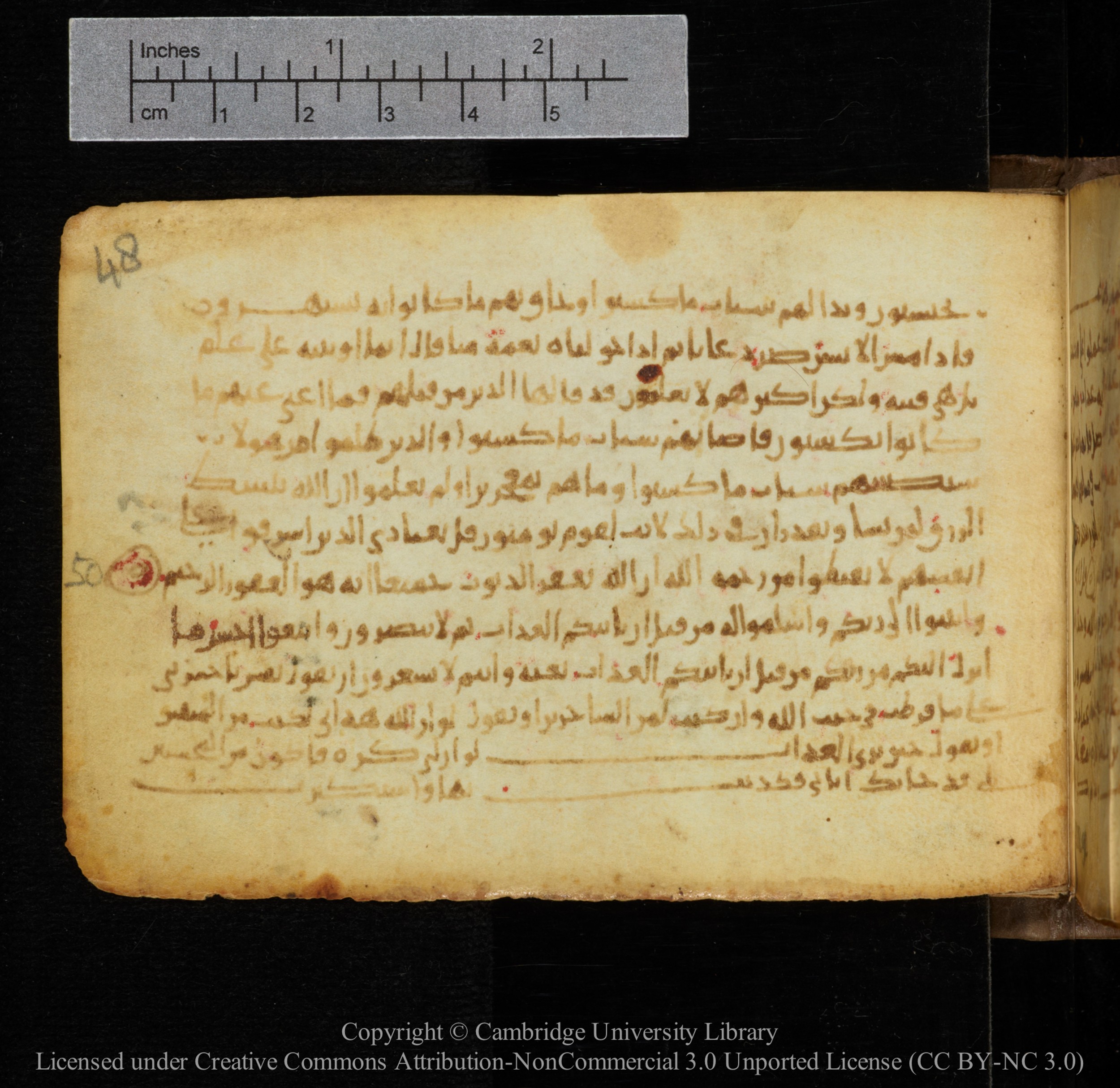 Cambridge, Cambridge University Library, MS Add.1141, in kūfī script, showing Surah 39:49 from 10th to 12th Century AD found in Sinai Peninsula, currently housed at Cambridge University Library, Cambridge