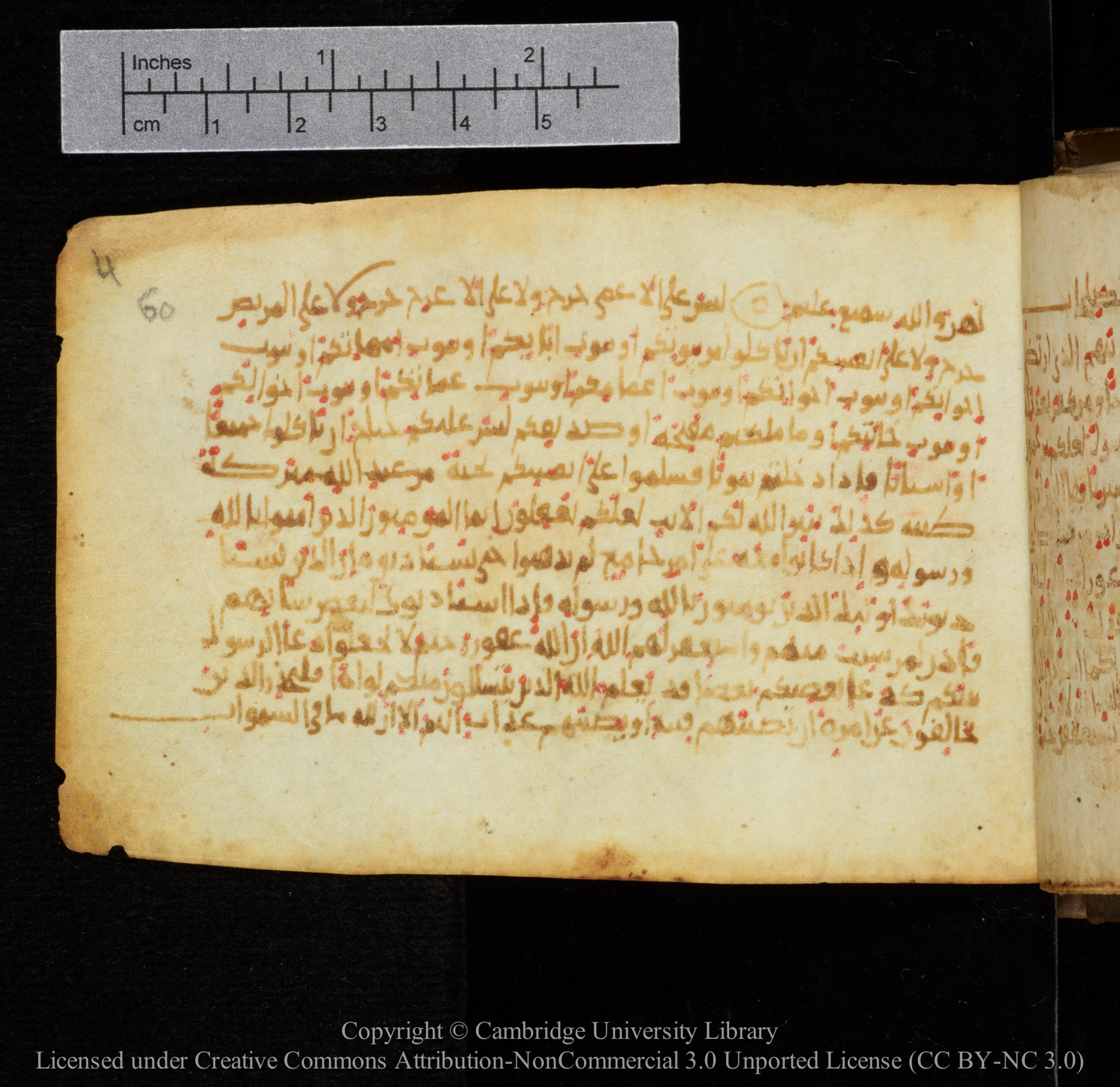 Cambridge, Cambridge University Library, MS Add.1141, in kūfī script, showing Surah 24:62 from 10th to 12th Century AD found in Sinai Peninsula, currently housed at Cambridge University Library, Cambridge