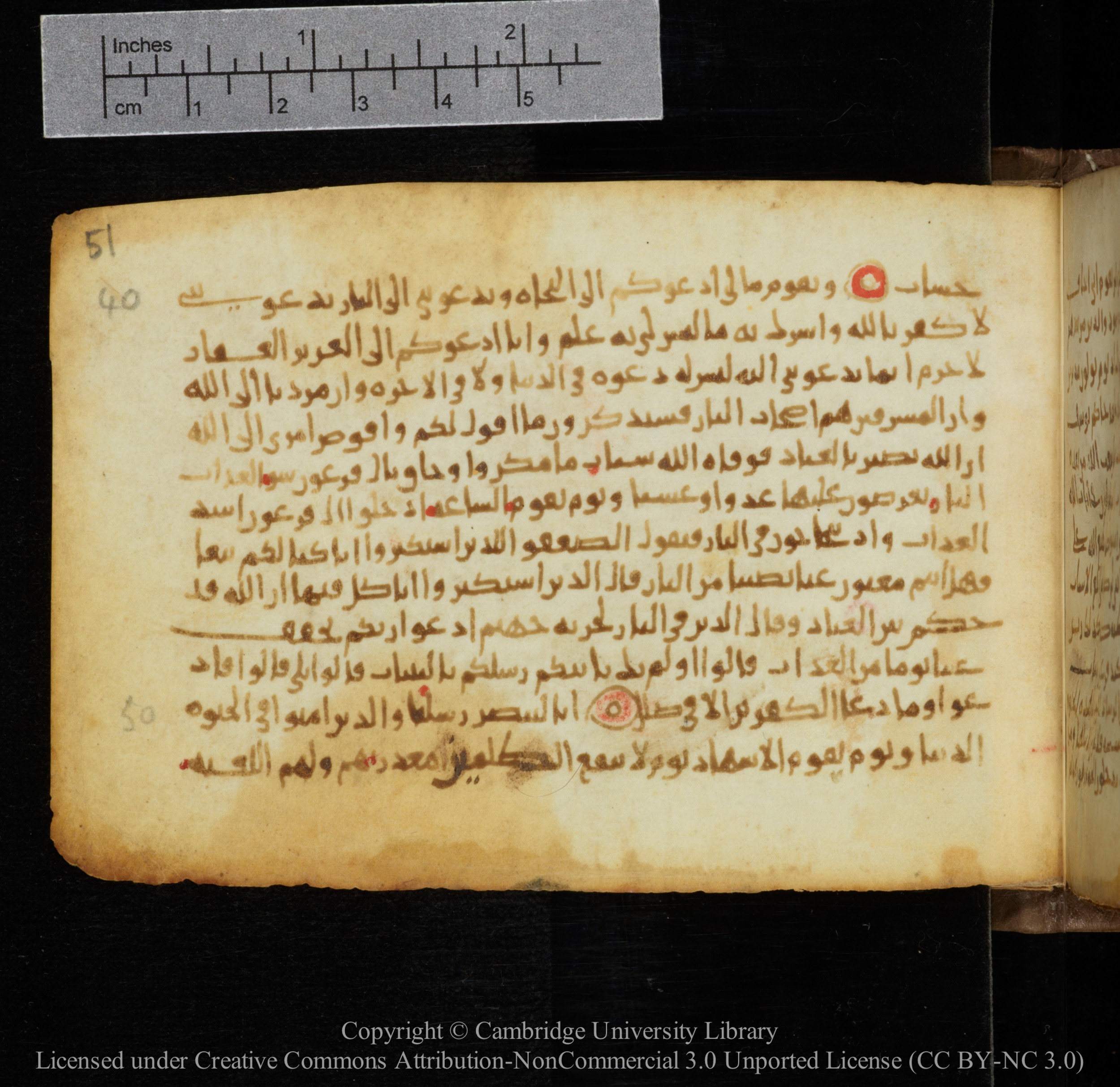 Cambridge, Cambridge University Library, MS Add.1141, in kūfī script, showing Surah 40:49 from 10th to 12th Century AD found in Sinai Peninsula, currently housed at Cambridge University Library, Cambridge