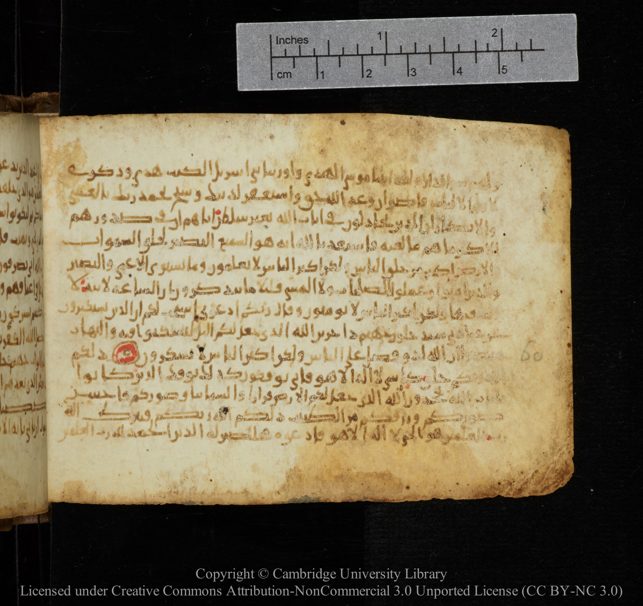 Cambridge, Cambridge University Library, MS Add.1141, in kūfī script, showing Surah 40:64 from 10th to 12th Century AD found in Sinai Peninsula, currently housed at Cambridge University Library, Cambridge