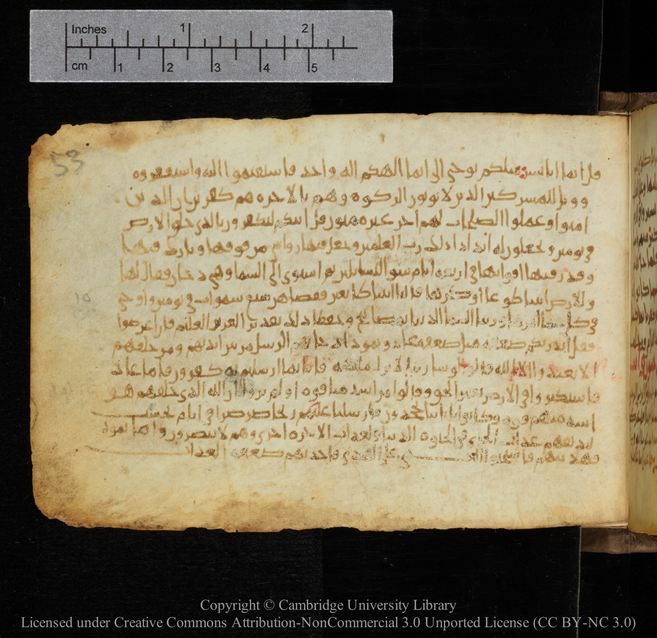 Cambridge, Cambridge University Library, MS Add.1141, in kūfī script, showing Surah 41:13 from 10th to 12th Century AD found in Sinai Peninsula, currently housed at Cambridge University Library, Cambridge