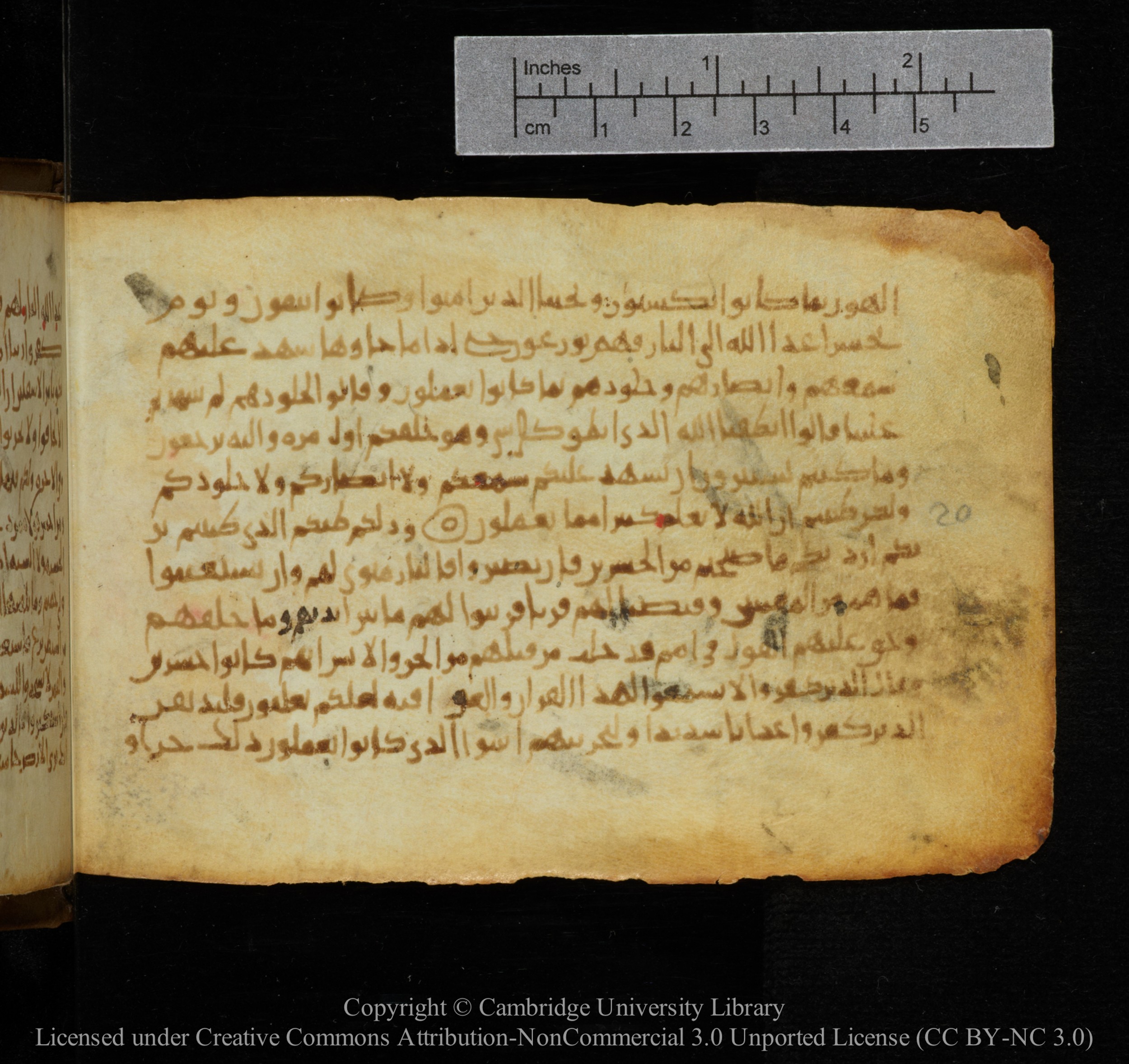 Cambridge, Cambridge University Library, MS Add.1141, in kūfī script, showing Surah 41:21 from 10th to 12th Century AD found in Sinai Peninsula, currently housed at Cambridge University Library, Cambridge