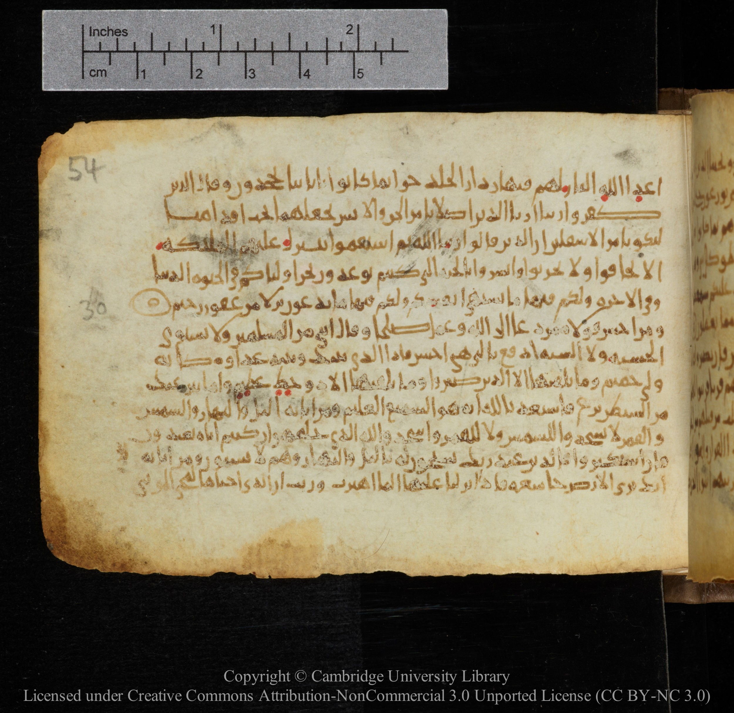 Cambridge, Cambridge University Library, MS Add.1141 (Scan 1), in kūfī script, showing Surah 41:39 from 10th to 12th Century AD found in Sinai Peninsula, currently housed at Cambridge University Library, Cambridge