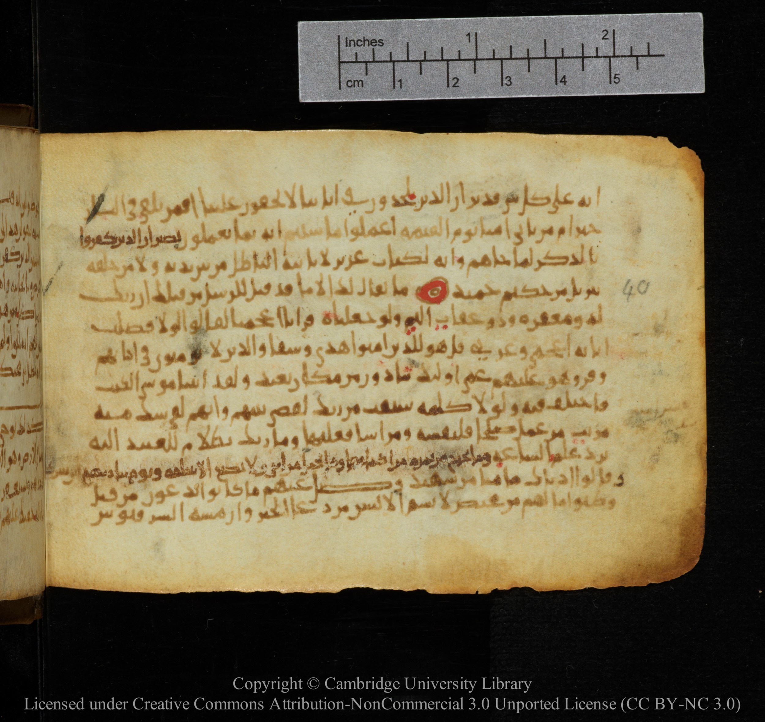 Cambridge, Cambridge University Library, MS Add.1141 (Scan 2), in kūfī script, showing Surah 41:39 from 10th to 12th Century AD found in Sinai Peninsula, currently housed at Cambridge University Library, Cambridge