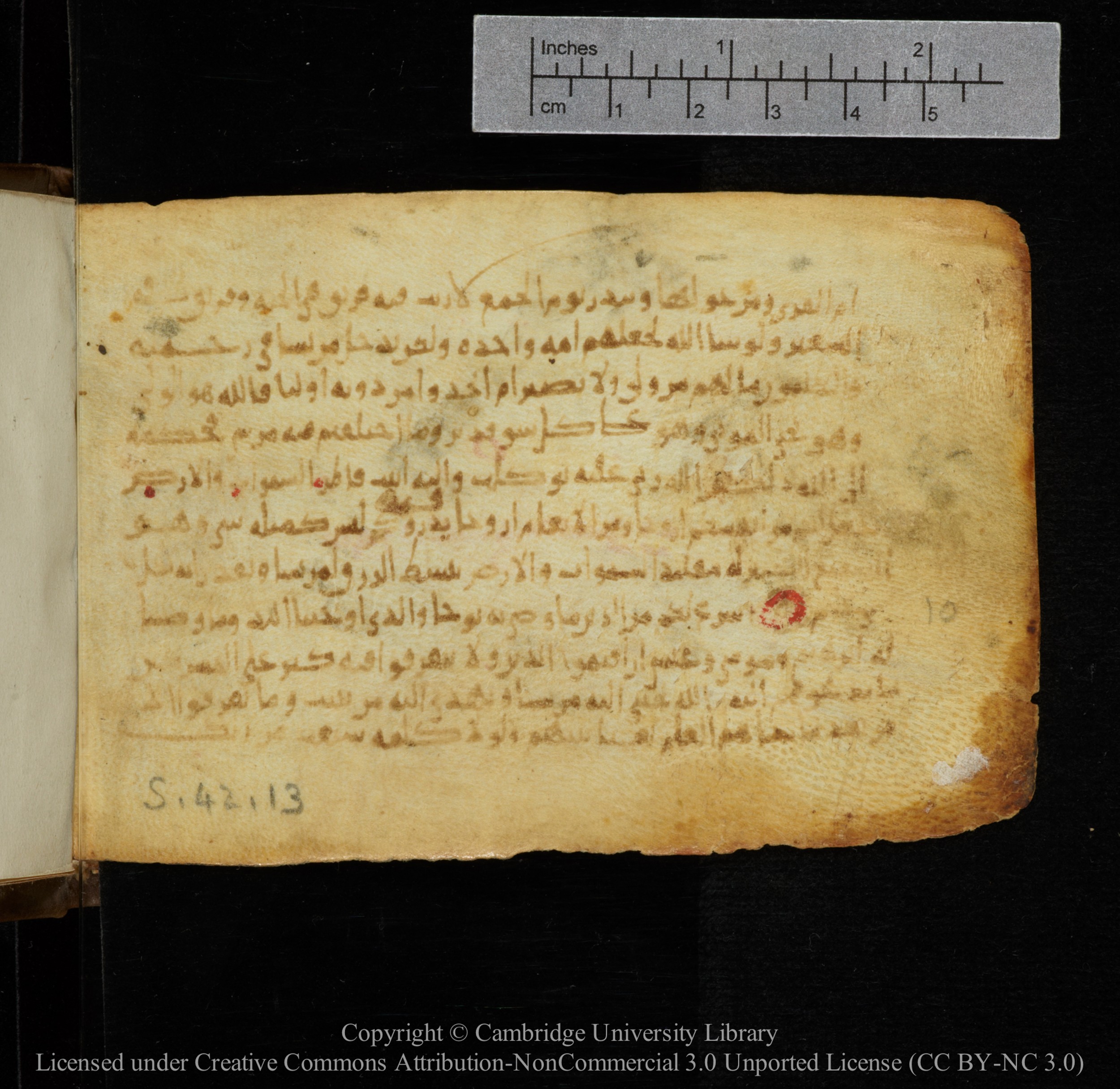 Cambridge, Cambridge University Library, MS Add.1141, in kūfī script, showing Surah 42:8 from 10th to 12th Century AD found in Sinai Peninsula, currently housed at Cambridge University Library, Cambridge