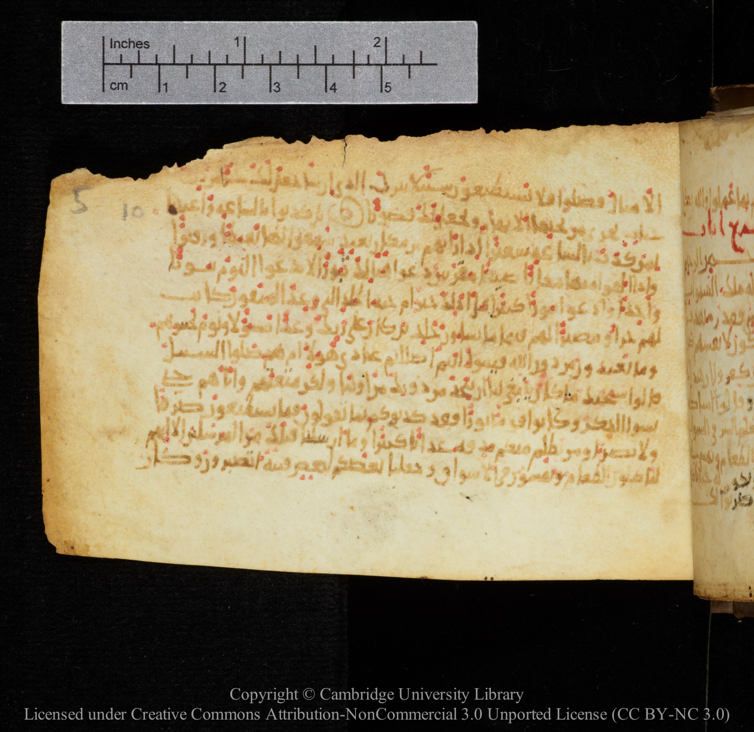 Cambridge, Cambridge University Library, MS Add.1141, in kūfī script, showing Surah 25:13 from 10th to 12th Century AD found in Sinai Peninsula, currently housed at Cambridge University Library, Cambridge