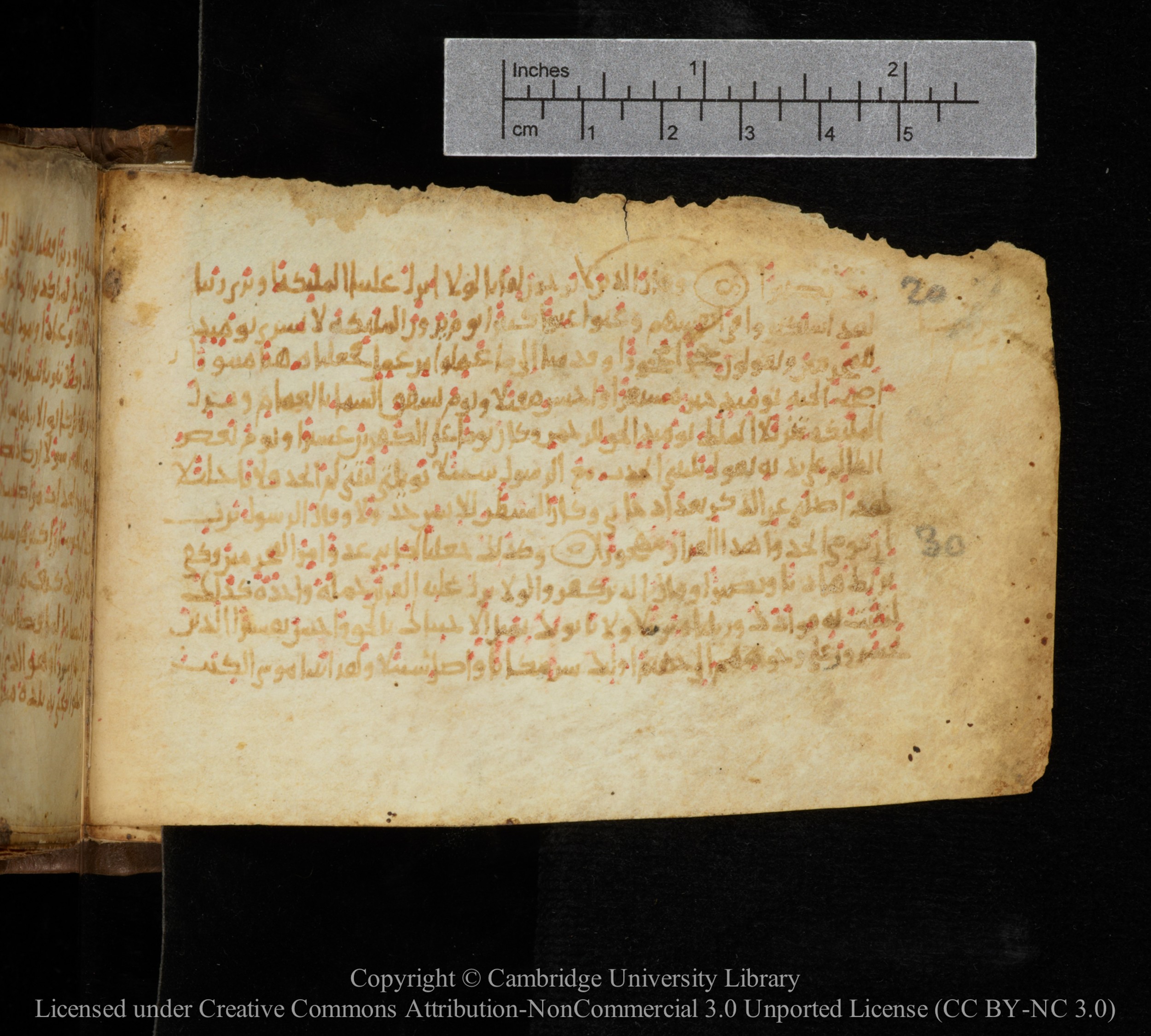 Cambridge, Cambridge University Library, MS Add.1141, in kūfī script, showing Surah 25:21 from 10th to 12th Century AD found in Sinai Peninsula, currently housed at Cambridge University Library, Cambridge
