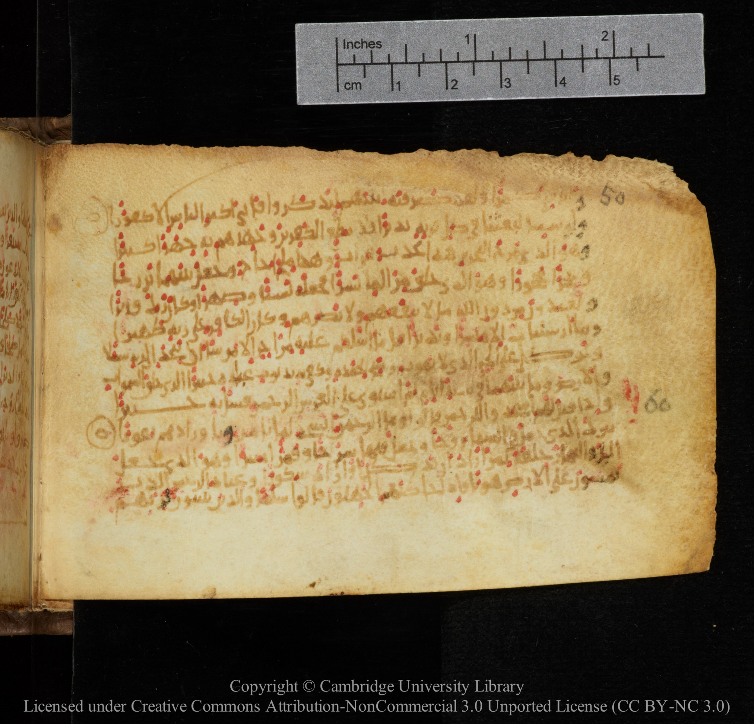 Cambridge, Cambridge University Library, MS Add.1141, in kūfī script, showing Surah 25:63 from 10th to 12th Century AD found in Sinai Peninsula, currently housed at Cambridge University Library, Cambridge