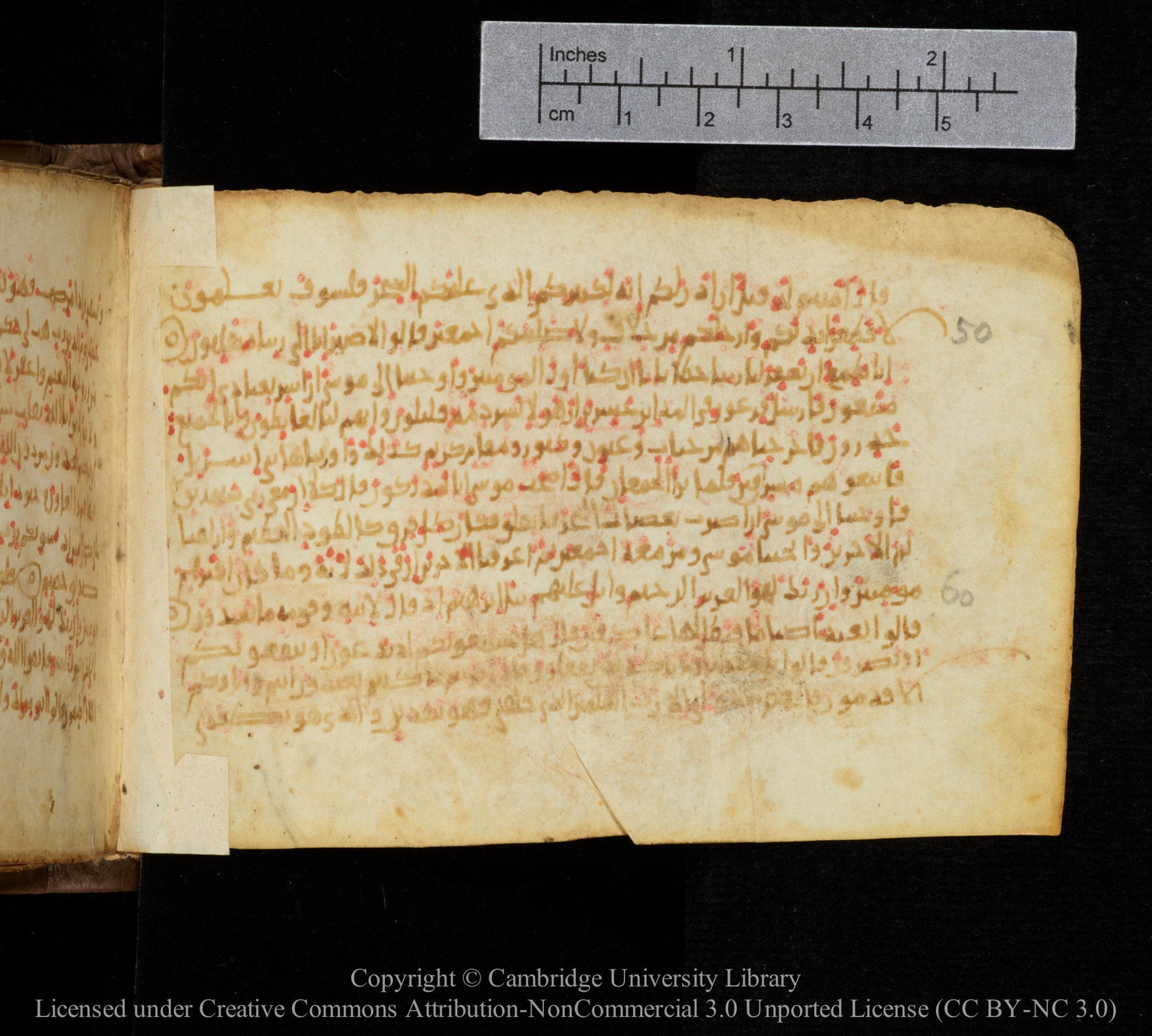 Cambridge, Cambridge University Library, MS Add.1141, in kūfī script, showing Surah 26:76 from 10th to 12th Century AD found in Sinai Peninsula, currently housed at Cambridge University Library, Cambridge