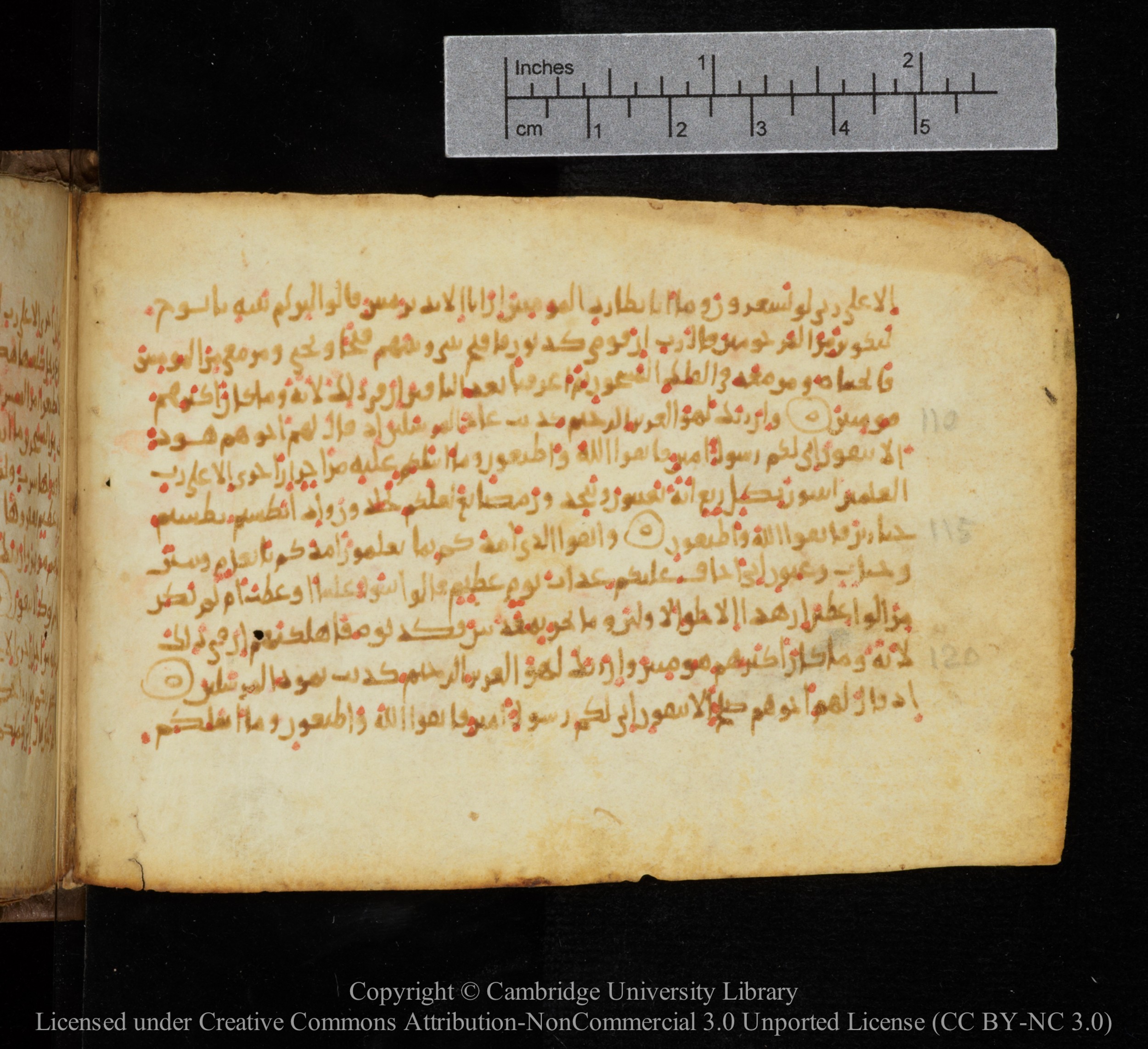 Cambridge, Cambridge University Library, MS Add.1141 (Scan 2), in kūfī script, showing Surah 26:113 from 10th to 12th Century AD found in Sinai Peninsula, currently housed at Cambridge University Library, Cambridge