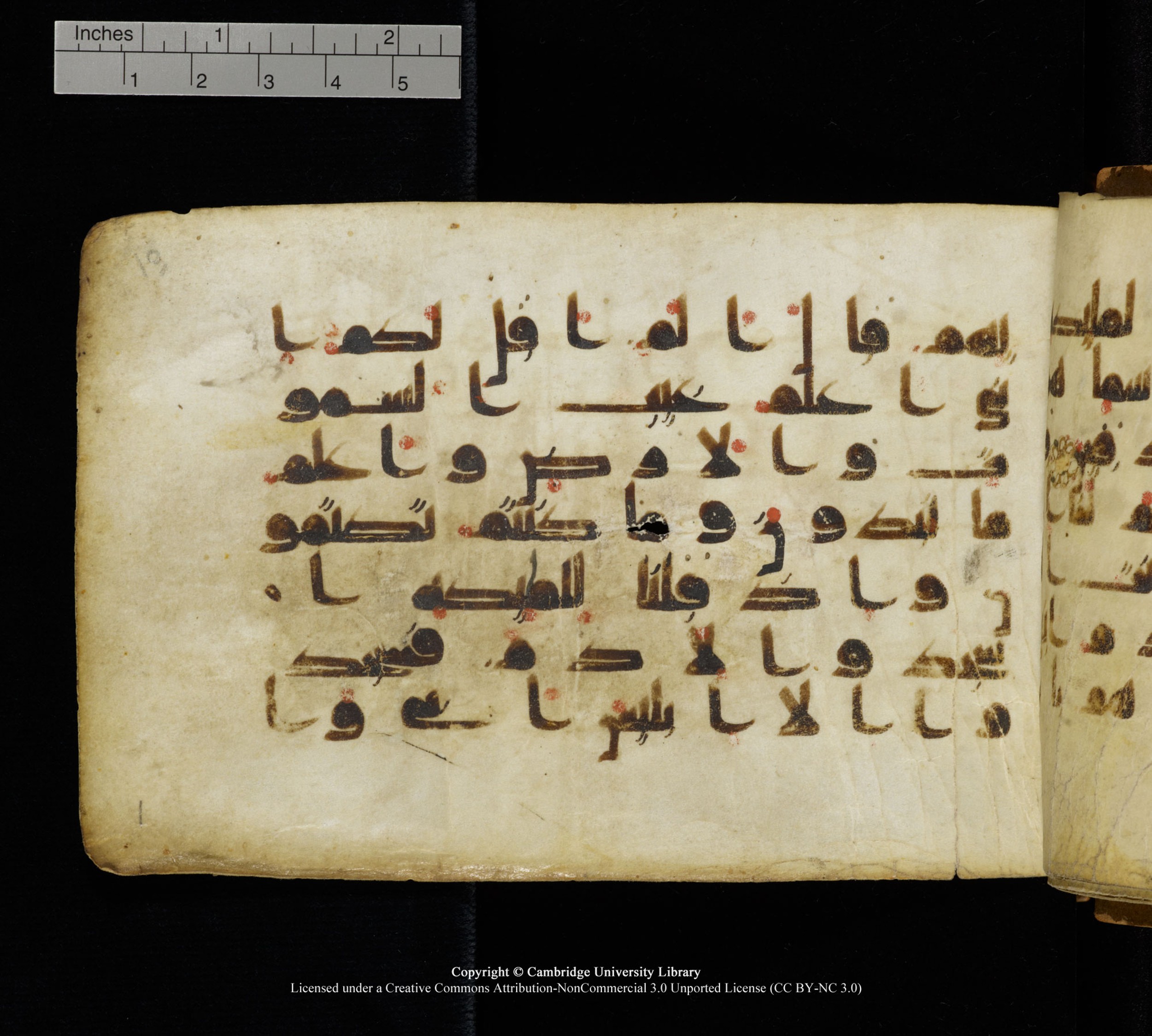 Cambridge, Cambridge University Library, MS Add.1111 (Scan 2), in kūfī D.I / D.IV script, showing Surah 2:33 from 9th or 10th Century AD found in Sinai Peninsula, currently housed at Cambridge University Library, Cambridge