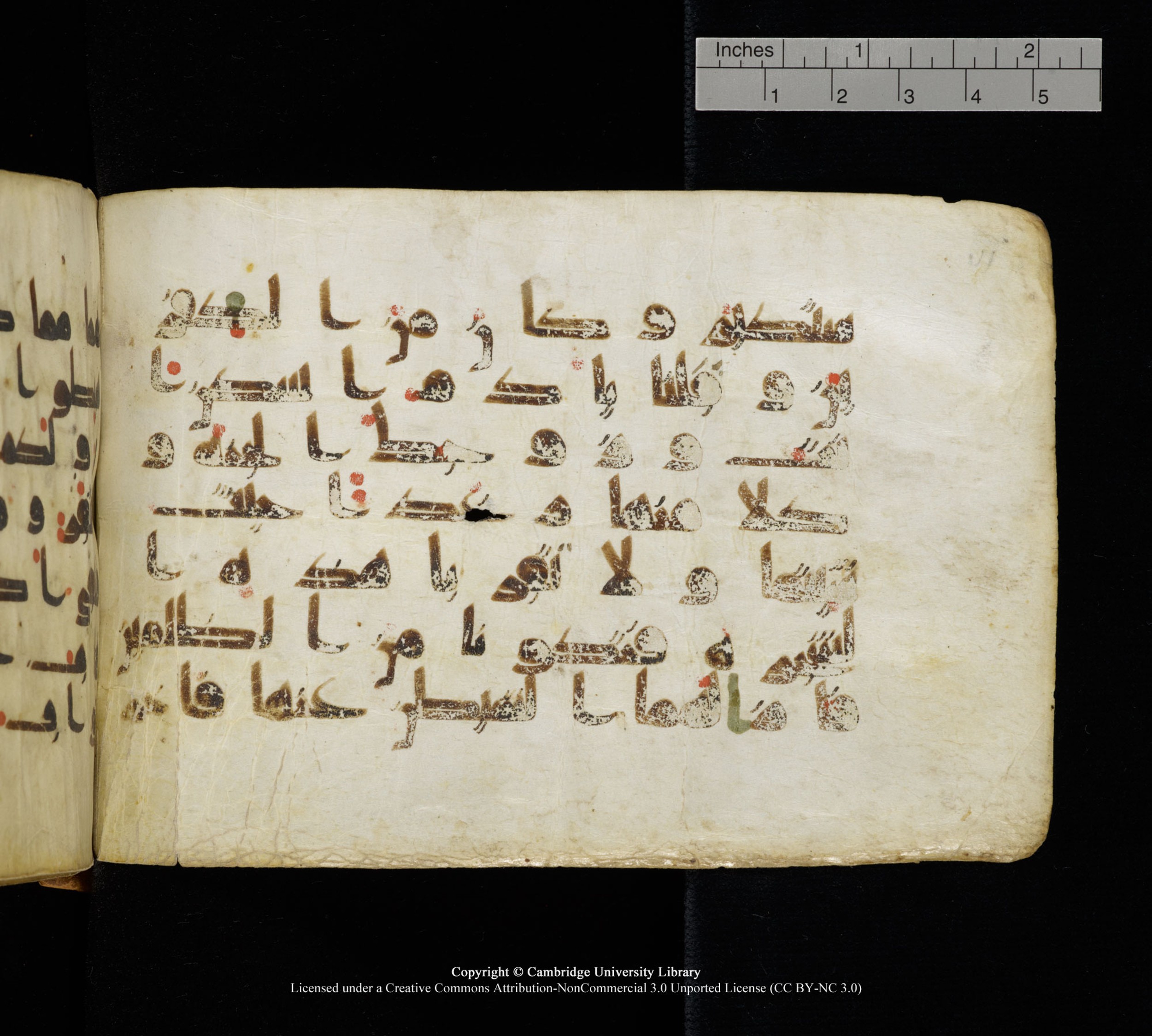 Cambridge, Cambridge University Library, MS Add.1111 (Scan 2), in kūfī D.I / D.IV script, showing Surah 2:34 from 9th or 10th Century AD found in Sinai Peninsula, currently housed at Cambridge University Library, Cambridge