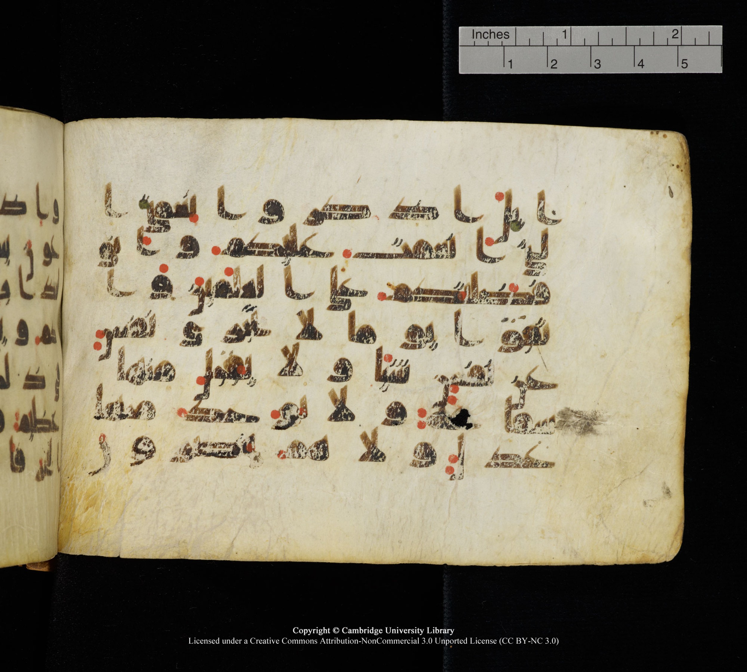 Cambridge, Cambridge University Library, MS Add.1111 (Scan 2), in kūfī D.I / D.IV script, showing Surah 2:47 from 9th or 10th Century AD found in Sinai Peninsula, currently housed at Cambridge University Library, Cambridge