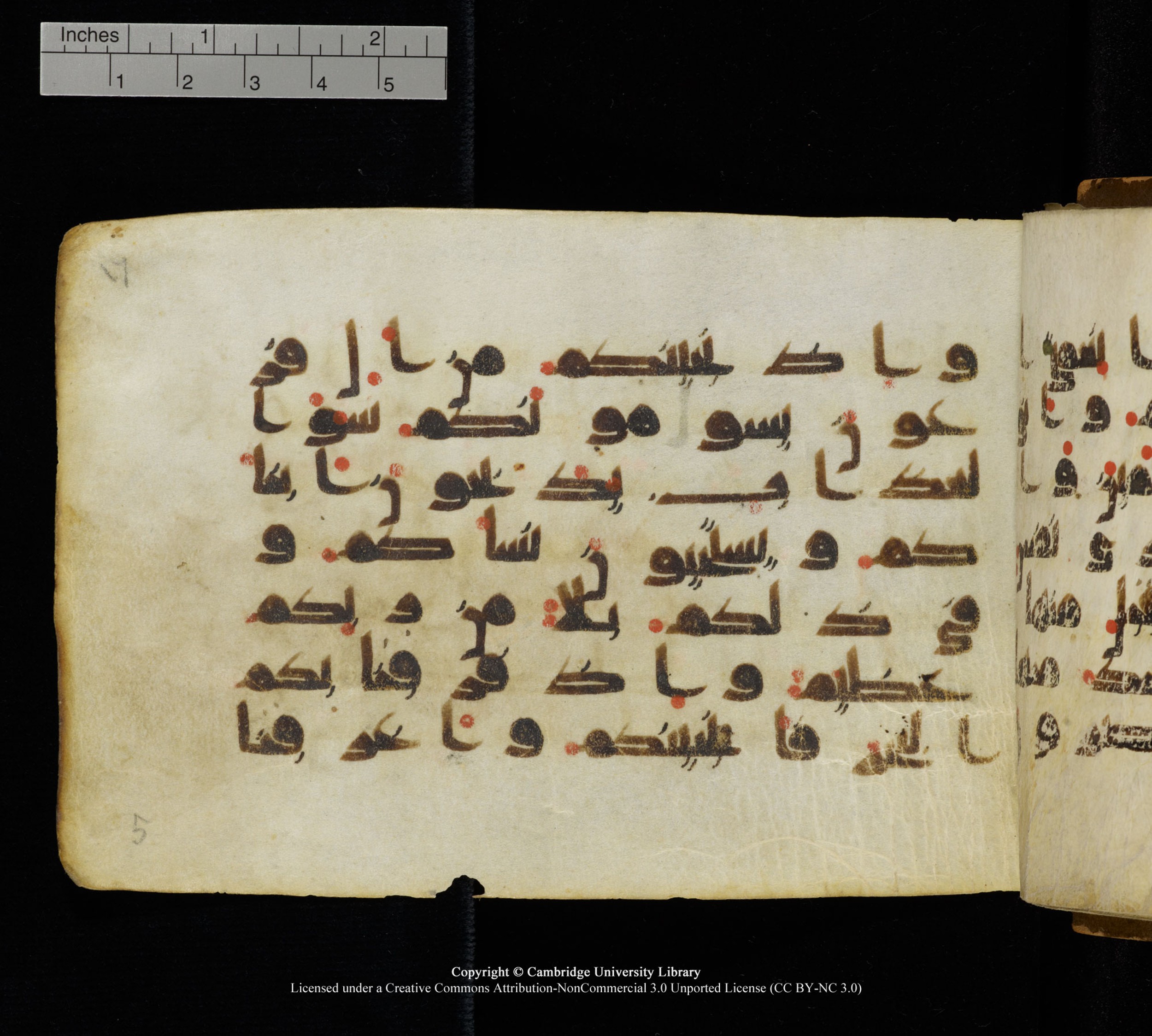 Cambridge, Cambridge University Library, MS Add.1111, in kūfī D.I / D.IV script, showing Surah 2:49 from 9th or 10th Century AD found in Sinai Peninsula, currently housed at Cambridge University Library, Cambridge