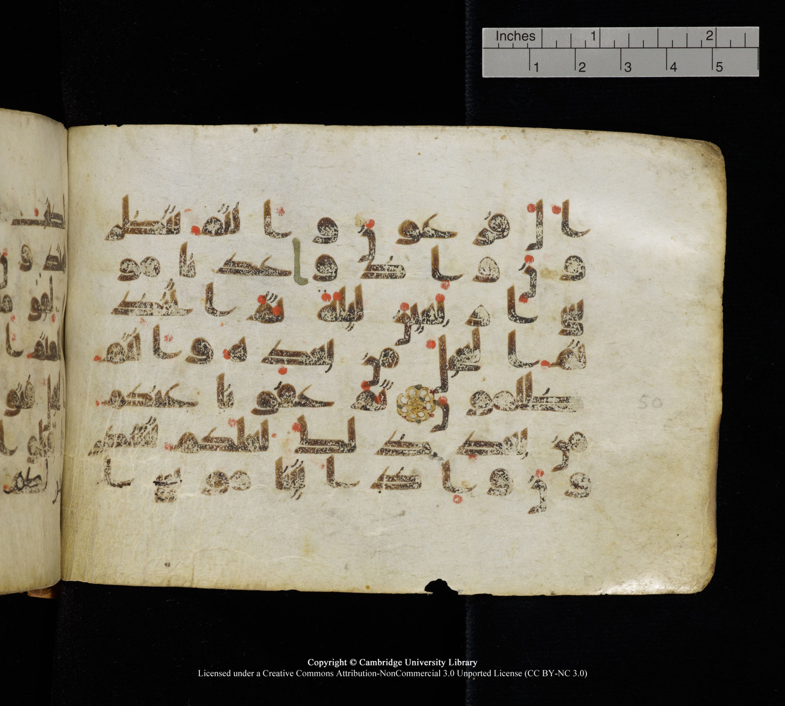 Cambridge, Cambridge University Library, MS Add.1111, in kūfī D.I / D.IV script, showing Surah 2:52 from 9th or 10th Century AD found in Sinai Peninsula, currently housed at Cambridge University Library, Cambridge