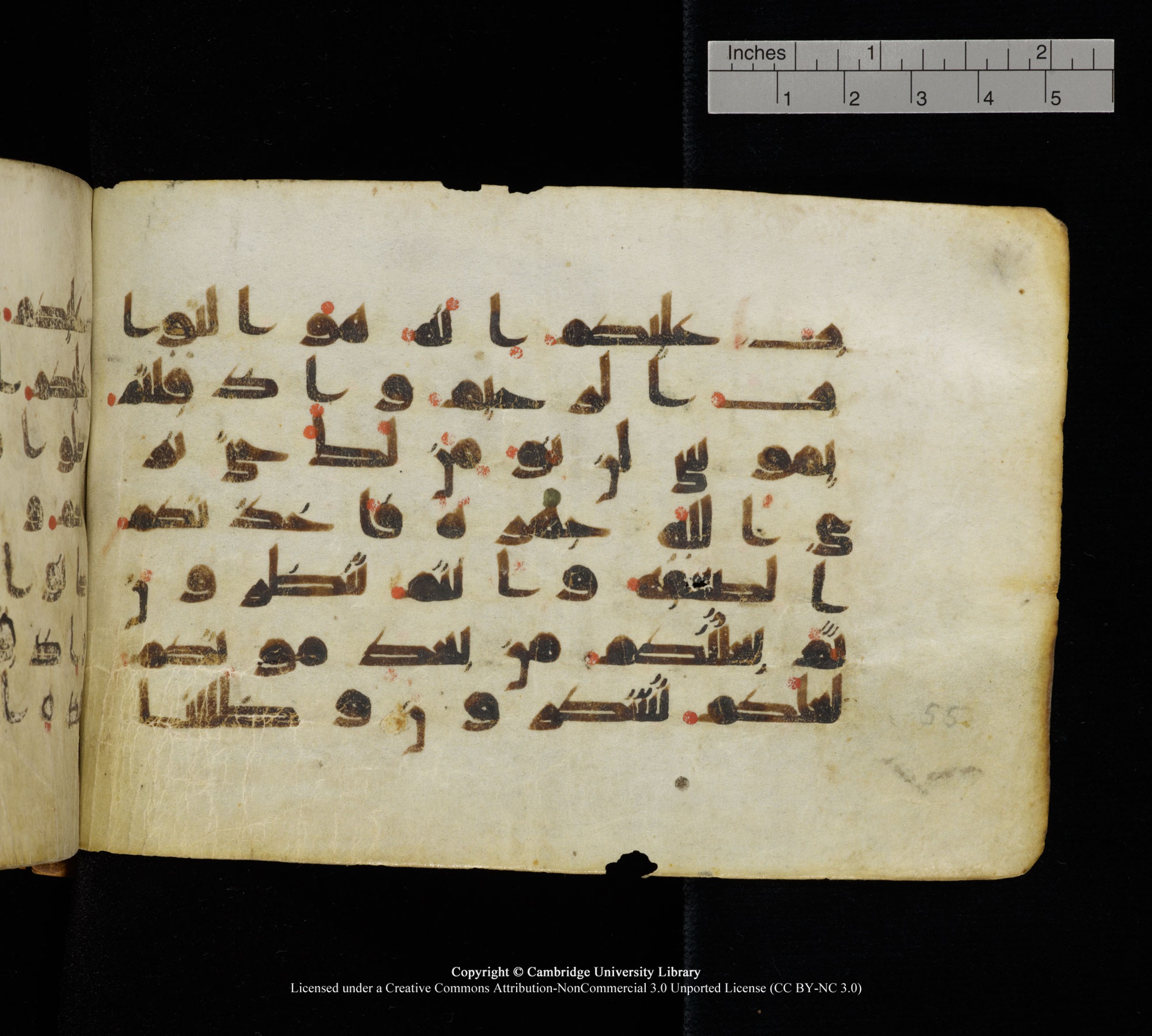 Cambridge, Cambridge University Library, MS Add.1111, in kūfī D.I / D.IV script, showing Surah 2:56 from 9th or 10th Century AD found in Sinai Peninsula, currently housed at Cambridge University Library, Cambridge