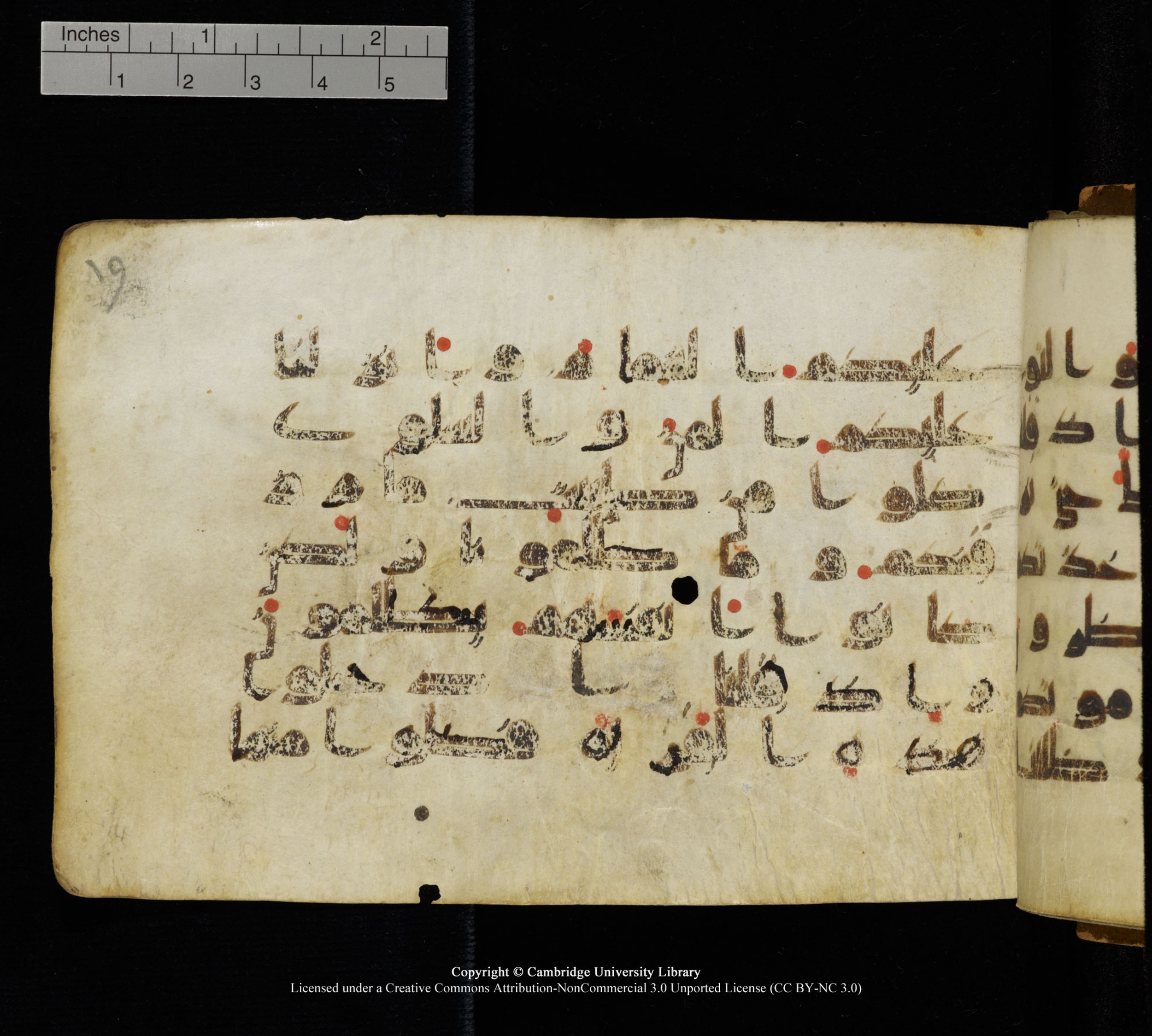 Cambridge, Cambridge University Library, MS Add.1111 (Scan 1), in kūfī D.I / D.IV script, showing Surah 2:58 from 9th or 10th Century AD found in Sinai Peninsula, currently housed at Cambridge University Library, Cambridge