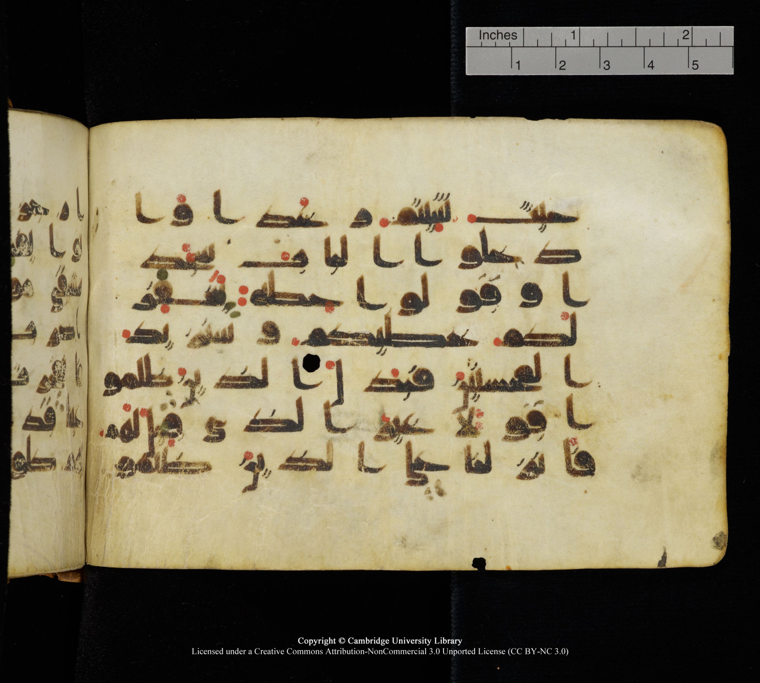 Cambridge, Cambridge University Library, MS Add.1111 (Scan 2), in kūfī D.I / D.IV script, showing Surah 2:58 from 9th or 10th Century AD found in Sinai Peninsula, currently housed at Cambridge University Library, Cambridge
