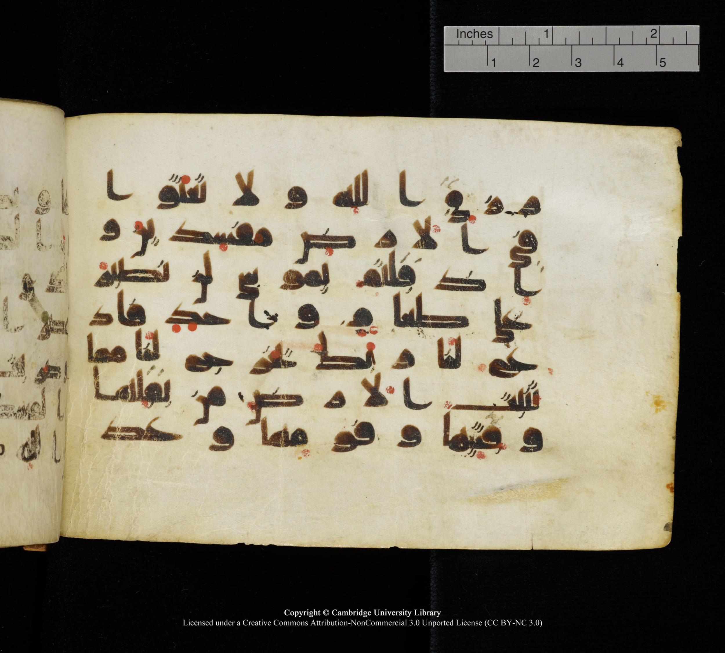 Cambridge, Cambridge University Library, MS Add.1111 (Scan 2), in kūfī D.I / D.IV script, showing Surah 2:60 from 9th or 10th Century AD found in Sinai Peninsula, currently housed at Cambridge University Library, Cambridge