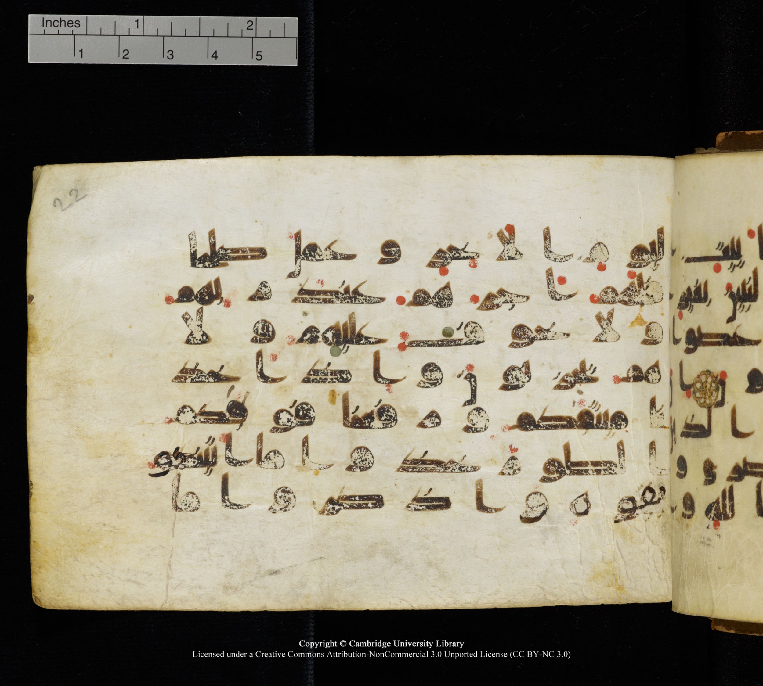 Cambridge, Cambridge University Library, MS Add.1111 (Scan 1), in kūfī D.I / D.IV script, showing Surah 2:63 from 9th or 10th Century AD found in Sinai Peninsula, currently housed at Cambridge University Library, Cambridge