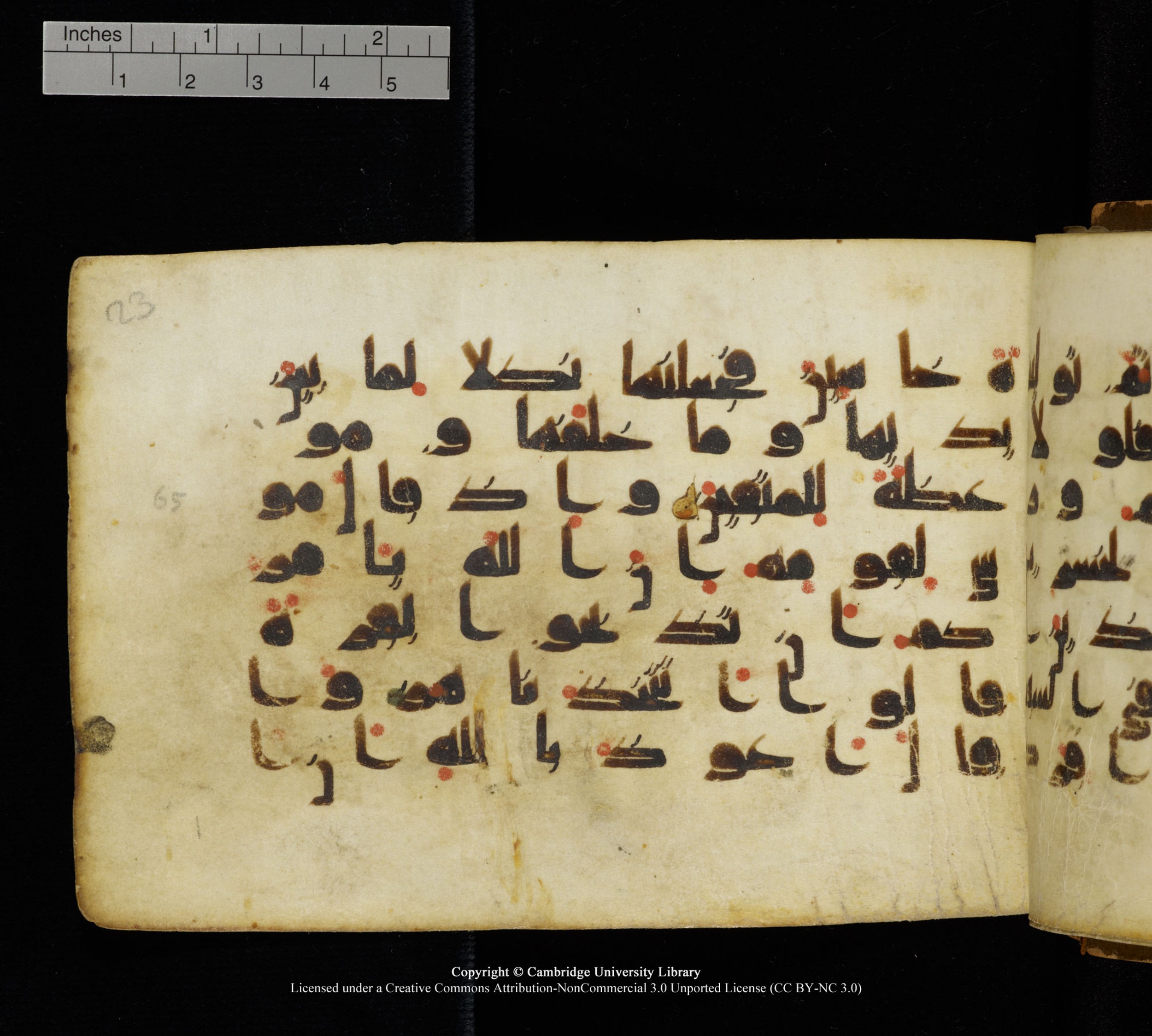 Cambridge, Cambridge University Library, MS Add.1111 (Scan 2), in kūfī D.I / D.IV script, showing Surah 2:65 from 9th or 10th Century AD found in Sinai Peninsula, currently housed at Cambridge University Library, Cambridge