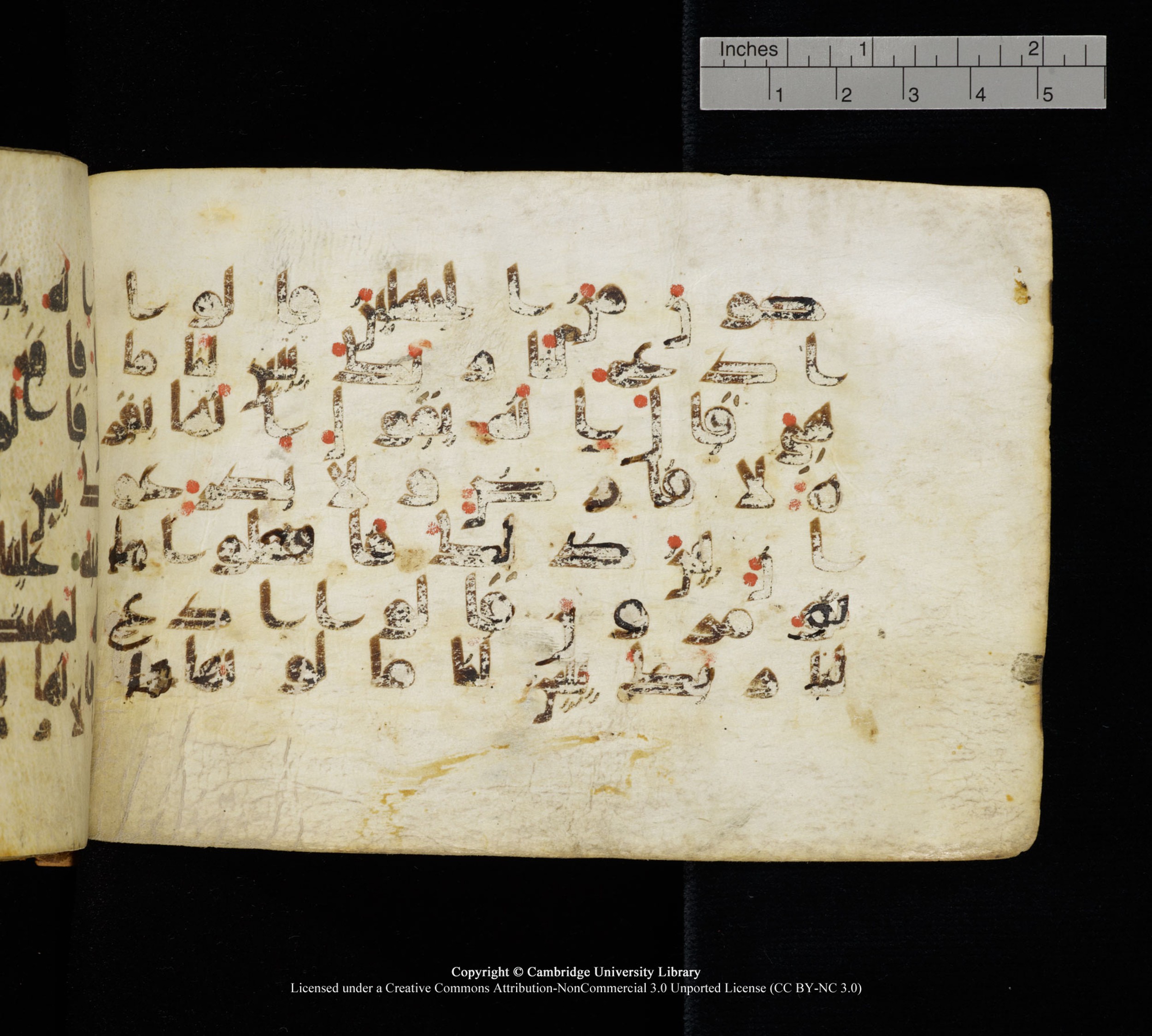 Cambridge, Cambridge University Library, MS Add.1111 (Scan 1), in kūfī D.I / D.IV script, showing Surah 2:69 from 9th or 10th Century AD found in Sinai Peninsula, currently housed at Cambridge University Library, Cambridge