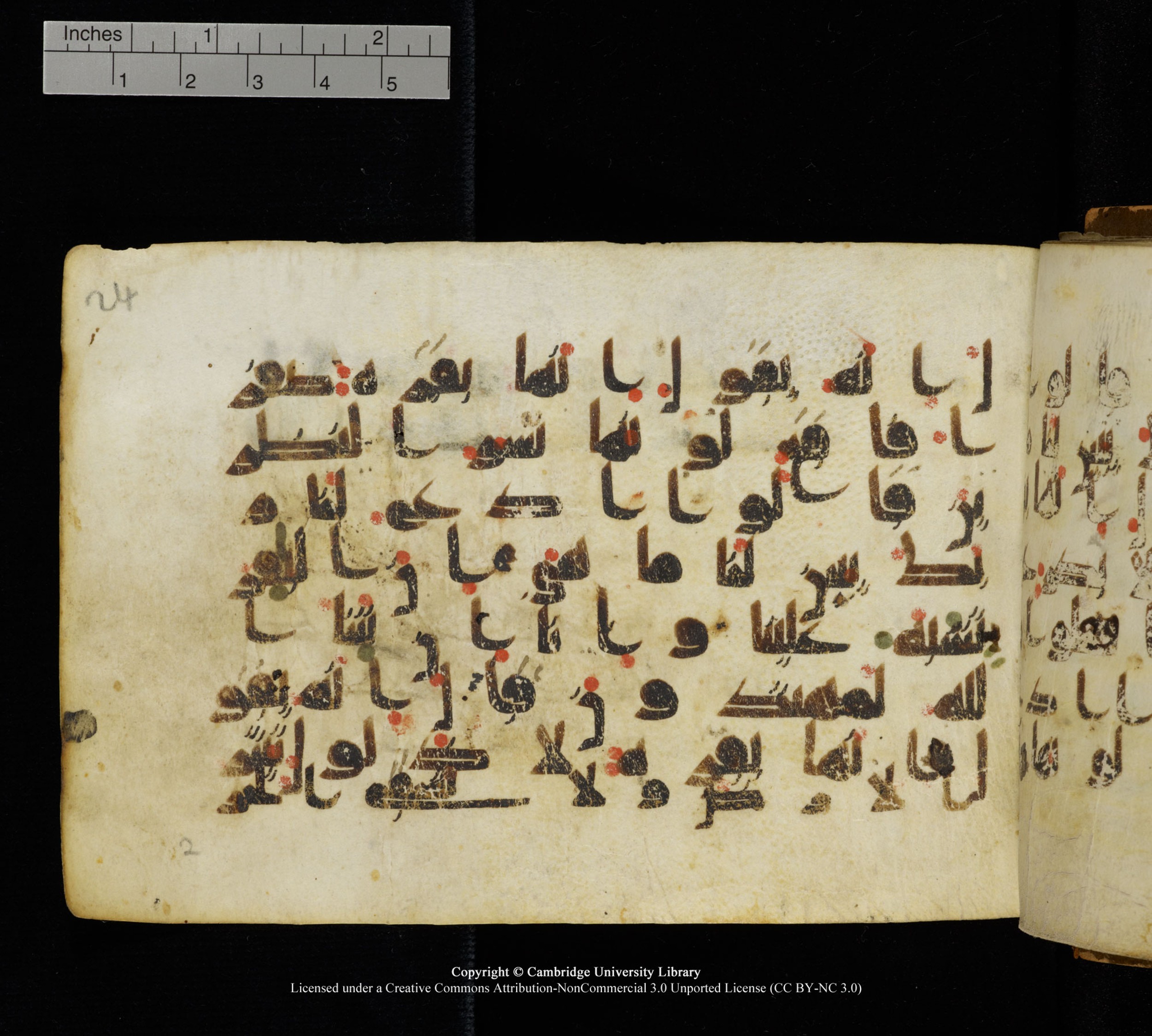 Cambridge, Cambridge University Library, MS Add.1111 (Scan 1), in kūfī D.I / D.IV script, showing Surah 2:71 from 9th or 10th Century AD found in Sinai Peninsula, currently housed at Cambridge University Library, Cambridge
