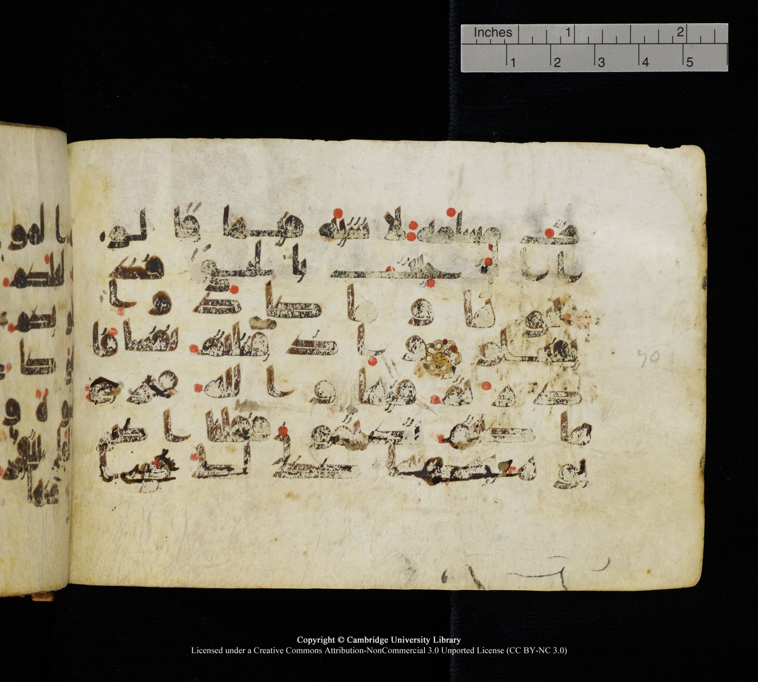 Cambridge, Cambridge University Library, MS Add.1111 (Scan 2), in kūfī D.I / D.IV script, showing Surah 2:71 from 9th or 10th Century AD found in Sinai Peninsula, currently housed at Cambridge University Library, Cambridge