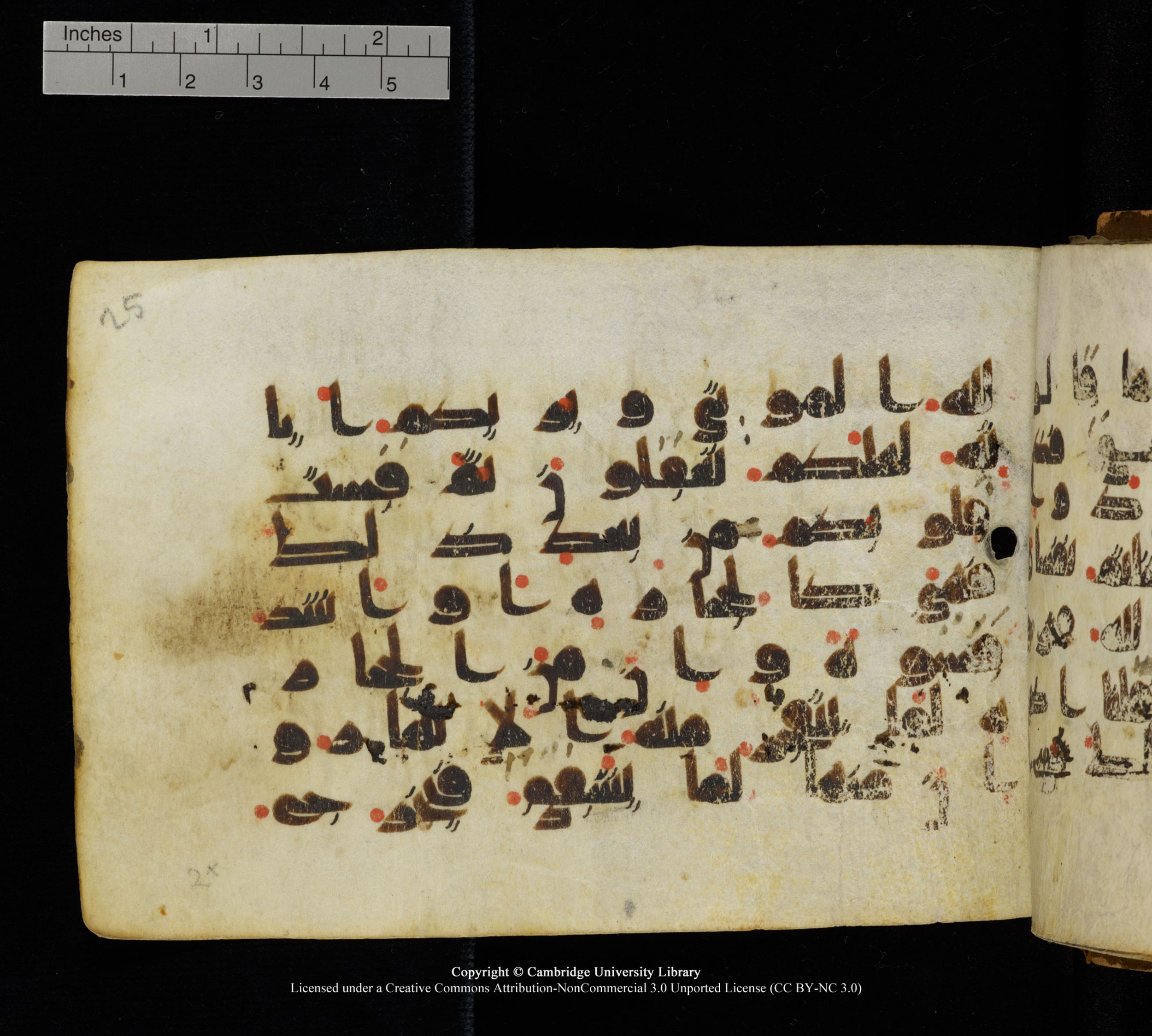 Cambridge, Cambridge University Library, MS Add.1111 (Scan 2), in kūfī D.I / D.IV script, showing Surah 2:73 from 9th or 10th Century AD found in Sinai Peninsula, currently housed at Cambridge University Library, Cambridge