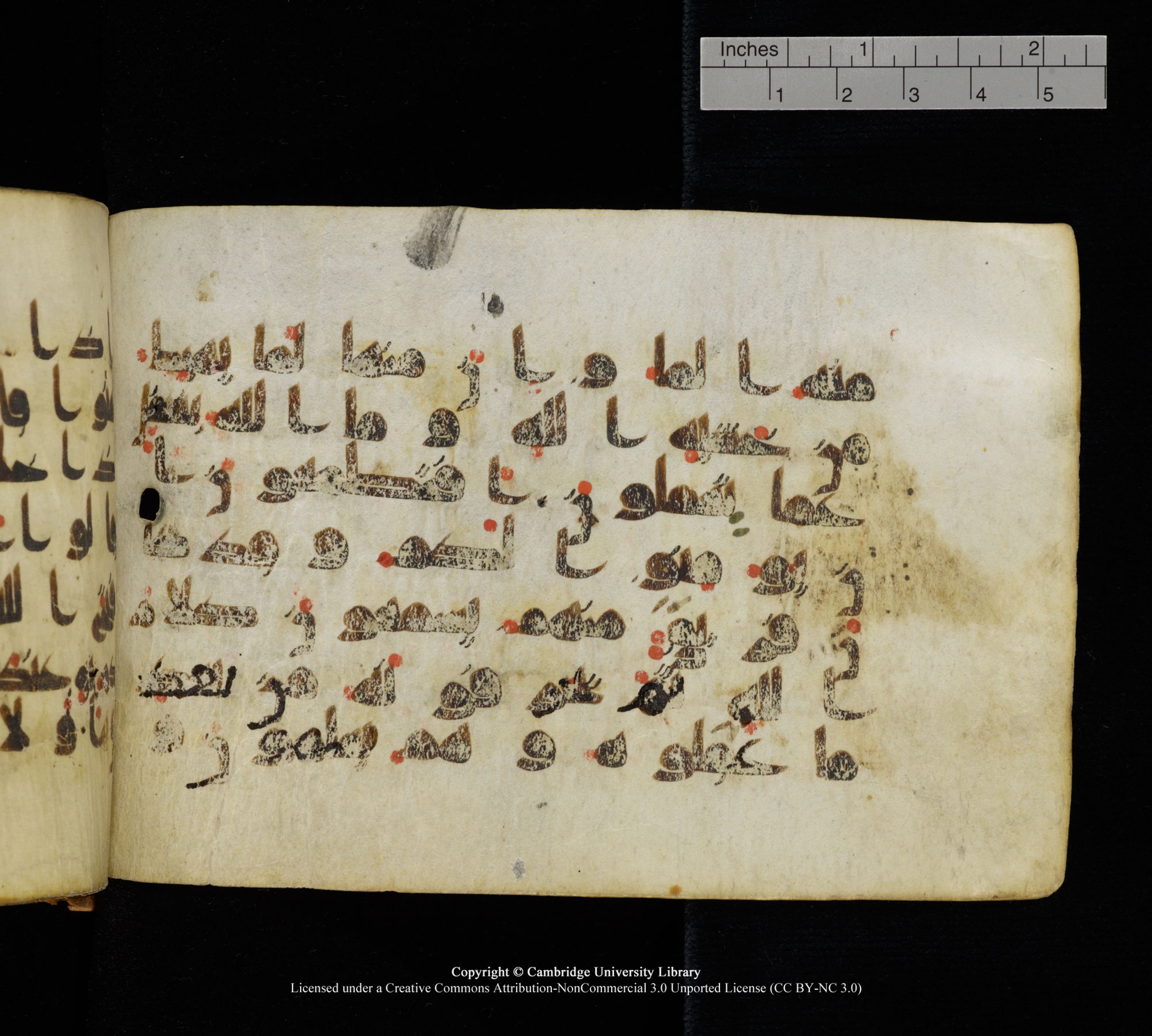 Cambridge, Cambridge University Library, MS Add.1111 (Scan 1), in kūfī D.I / D.IV script, showing Surah 2:76 from 9th or 10th Century AD found in Sinai Peninsula, currently housed at Cambridge University Library, Cambridge