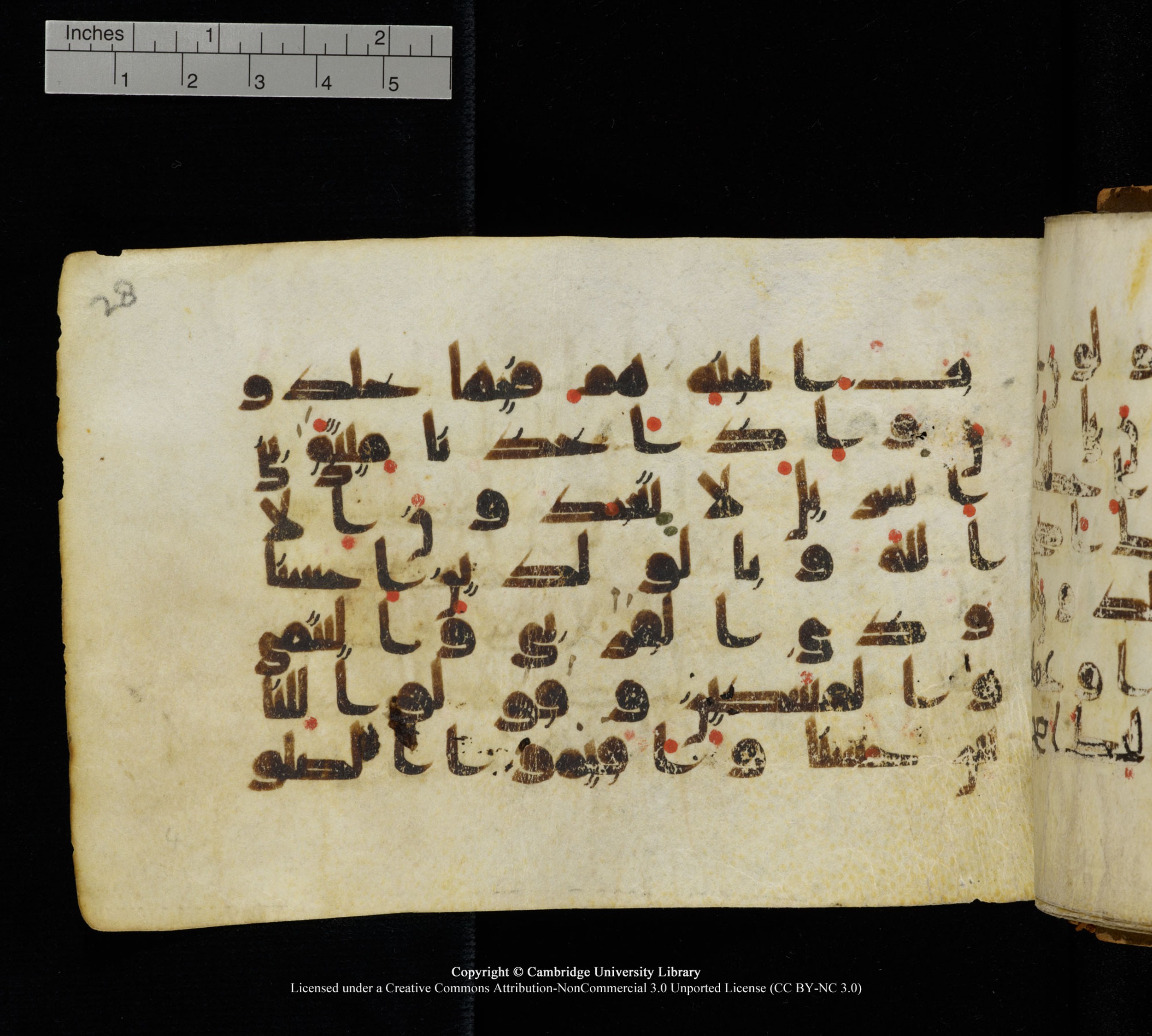 Cambridge, Cambridge University Library, MS Add.1111 (Scan 1), in kūfī D.I / D.IV script, showing Surah 2:83 from 9th or 10th Century AD found in Sinai Peninsula, currently housed at Cambridge University Library, Cambridge