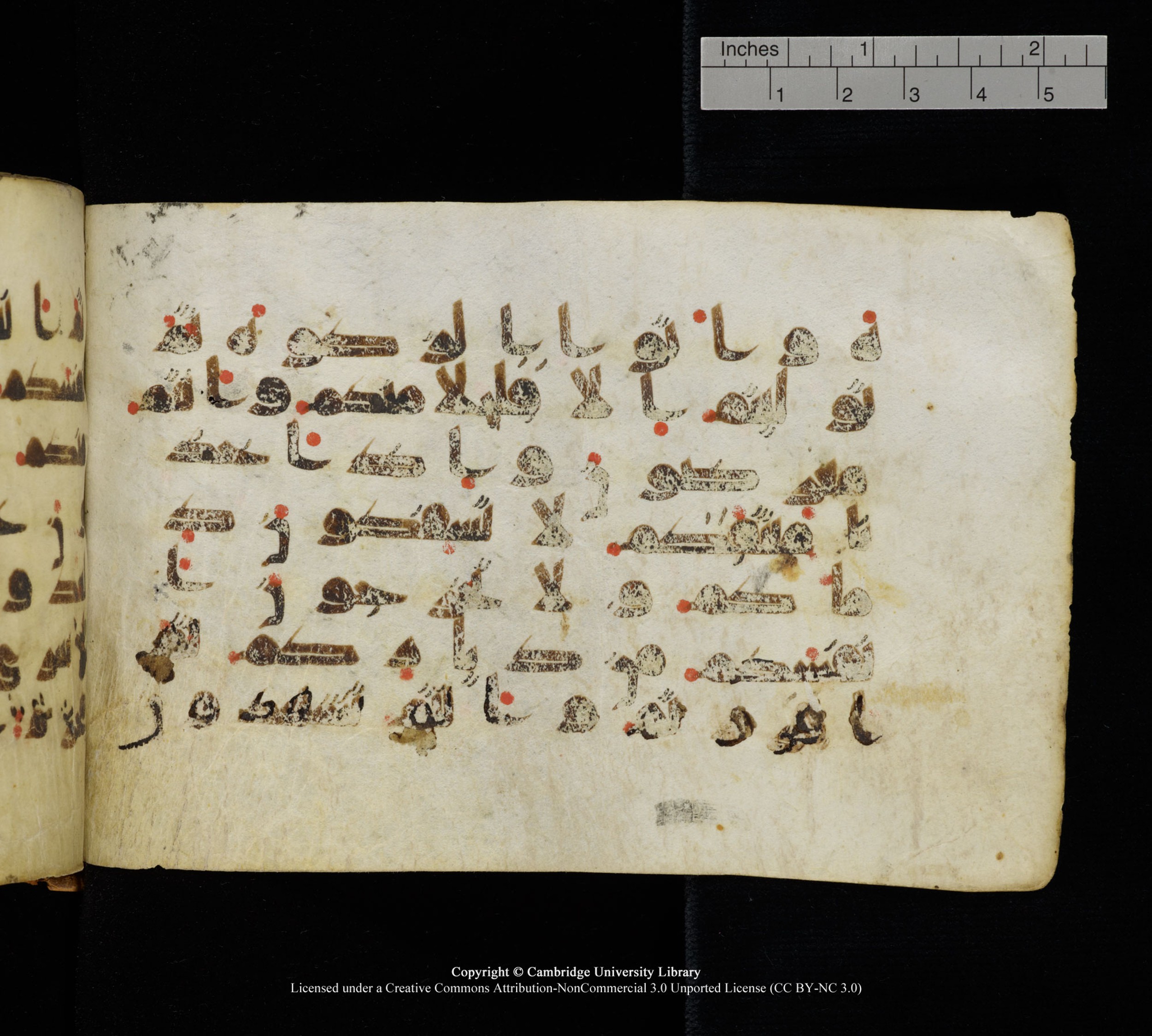 Cambridge, Cambridge University Library, MS Add.1111 (Scan 2), in kūfī D.I / D.IV script, showing Surah 2:83 from 9th or 10th Century AD found in Sinai Peninsula, currently housed at Cambridge University Library, Cambridge