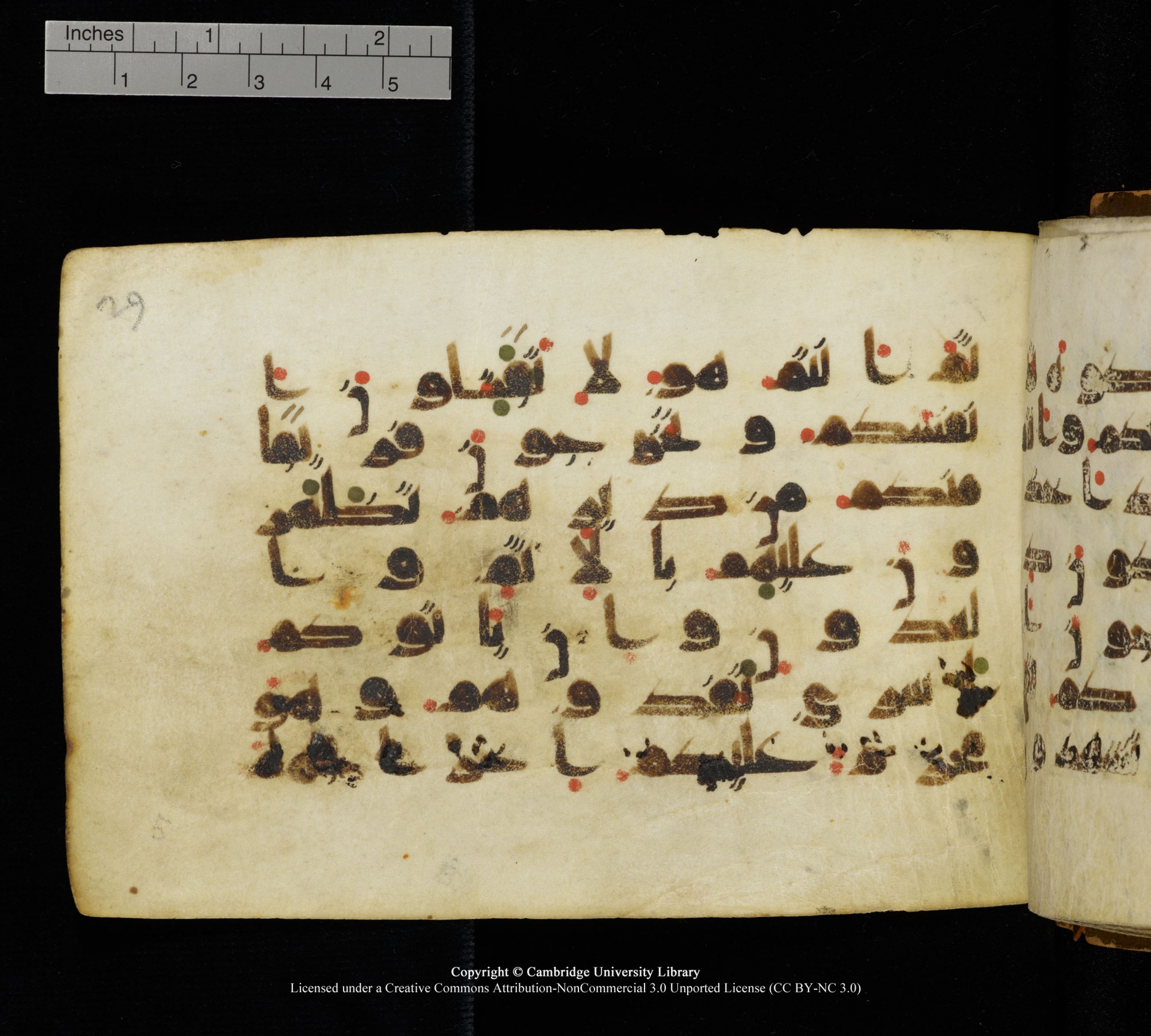 Cambridge, Cambridge University Library, MS Add.1111 (Scan 1), in kūfī D.I / D.IV script, showing Surah 2:85 from 9th or 10th Century AD found in Sinai Peninsula, currently housed at Cambridge University Library, Cambridge