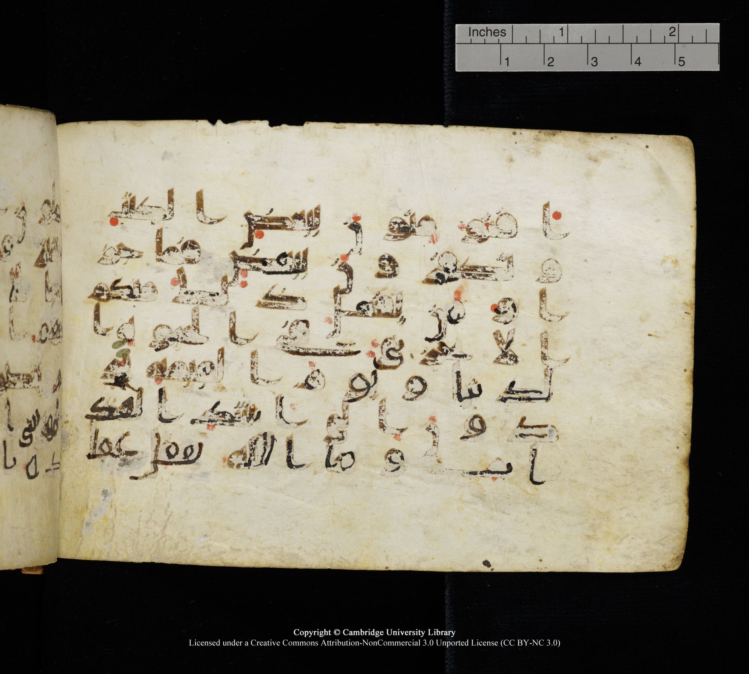 Cambridge, Cambridge University Library, MS Add.1111 (Scan 2), in kūfī D.I / D.IV script, showing Surah 2:85 from 9th or 10th Century AD found in Sinai Peninsula, currently housed at Cambridge University Library, Cambridge