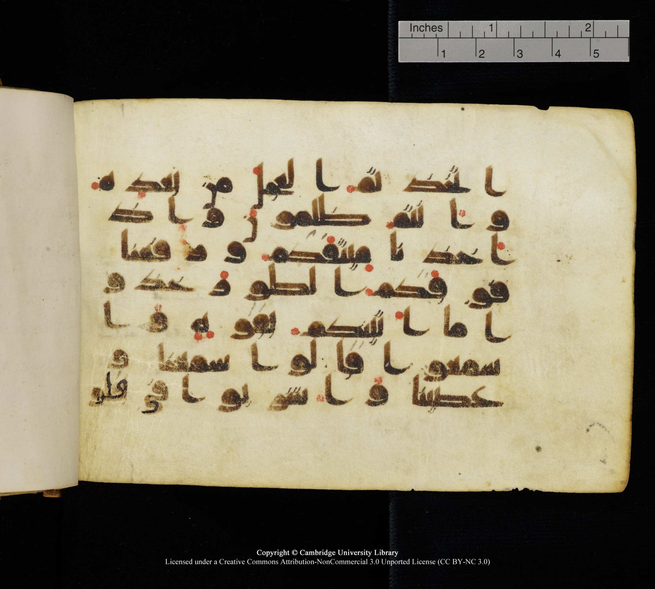Cambridge, Cambridge University Library, MS Add.1111 (Scan 1), in kūfī D.I / D.IV script, showing Surah 2:93 from 9th or 10th Century AD found in Sinai Peninsula, currently housed at Cambridge University Library, Cambridge