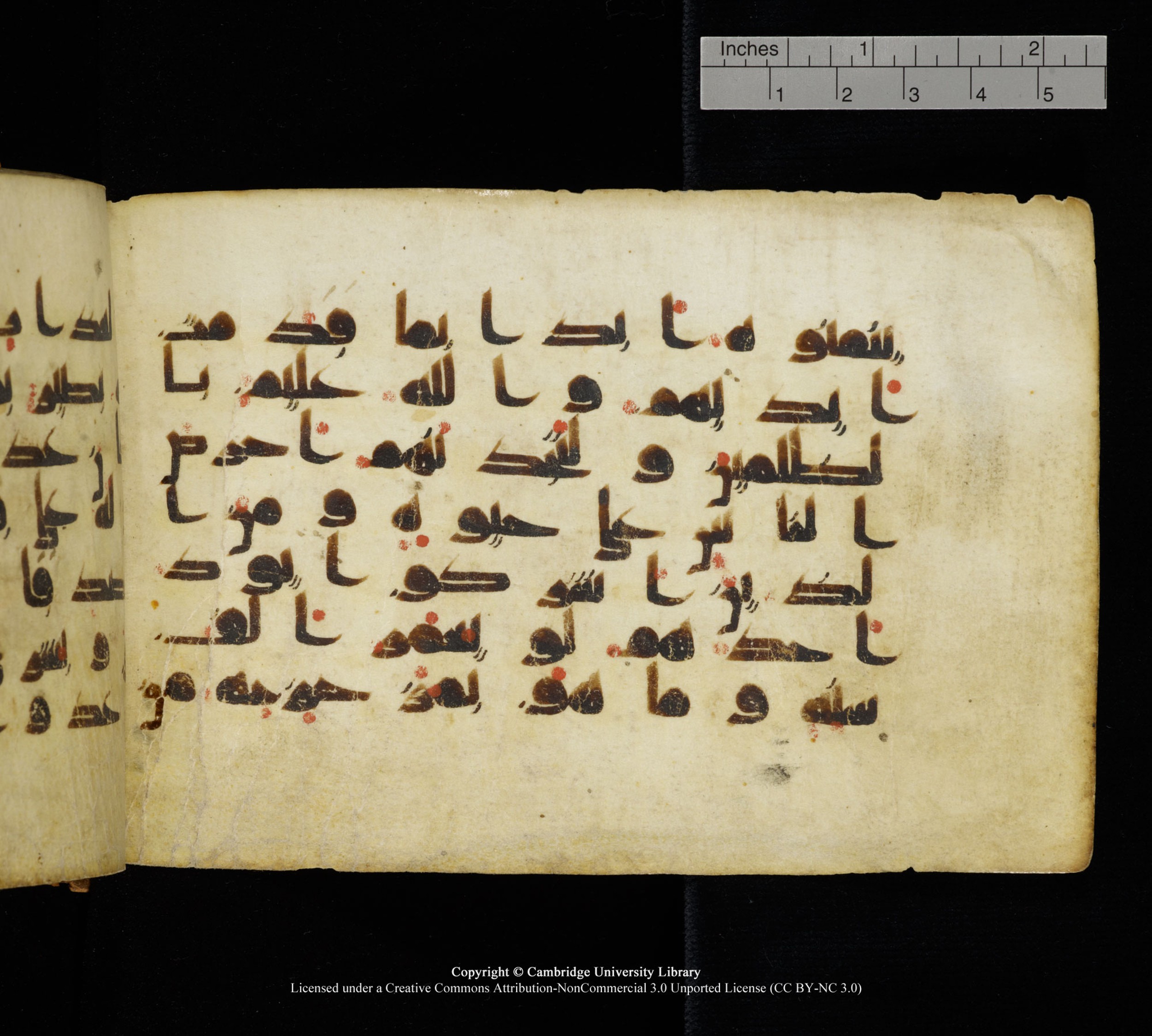 Cambridge, Cambridge University Library, MS Add.1111 (Scan 1), in kūfī D.I / D.IV script, showing Surah 2:96 from 9th or 10th Century AD found in Sinai Peninsula, currently housed at Cambridge University Library, Cambridge