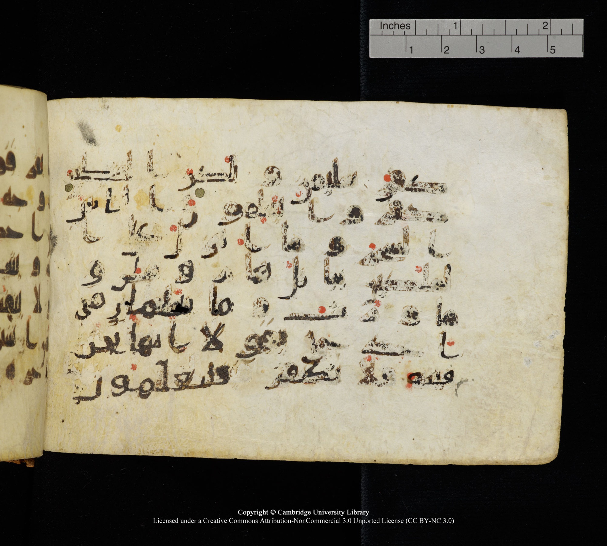 Cambridge, Cambridge University Library, MS Add.1111 (Scan 2), in kūfī D.I / D.IV script, showing Surah 2:102 from 9th or 10th Century AD found in Sinai Peninsula, currently housed at Cambridge University Library, Cambridge