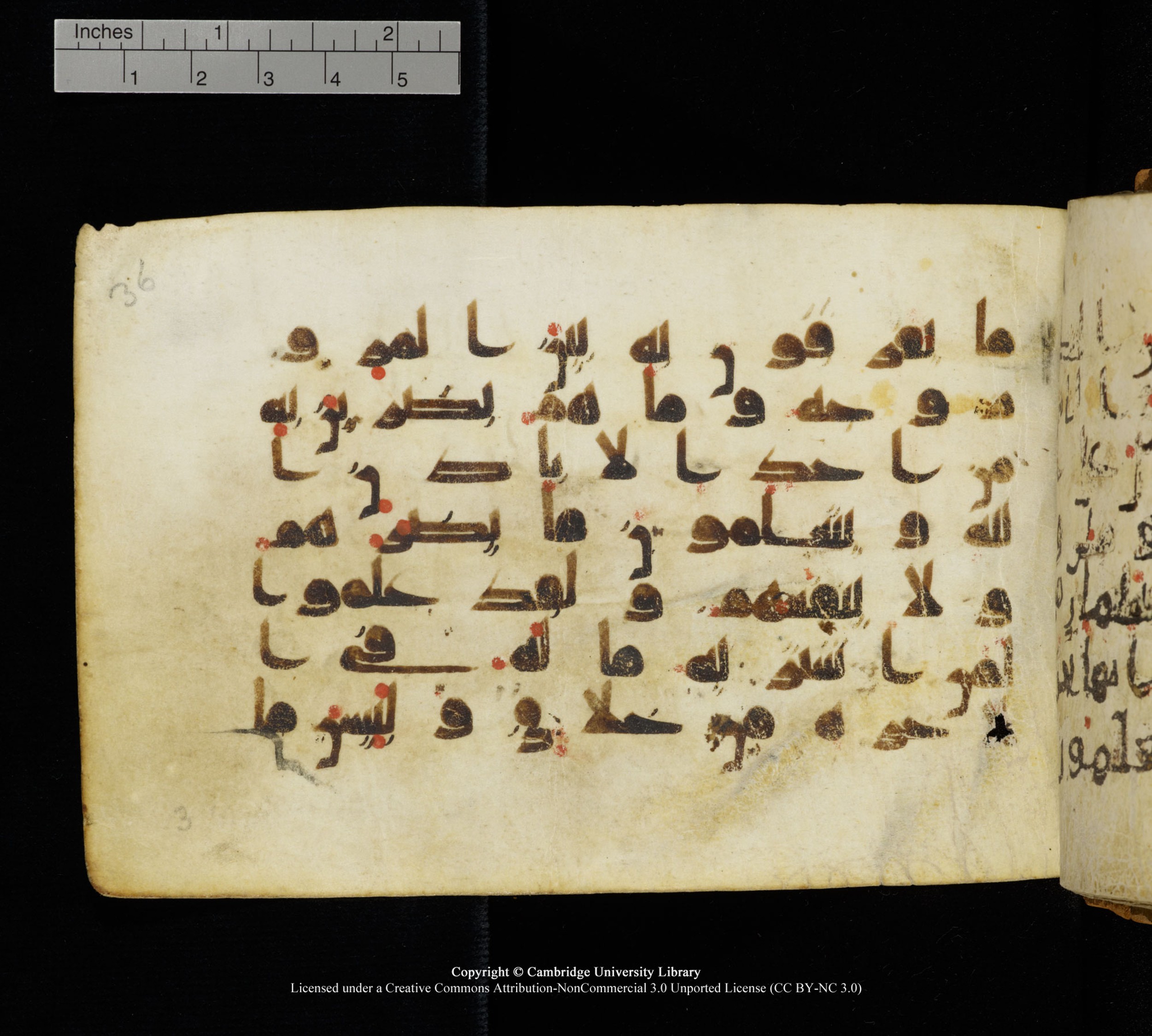 Cambridge, Cambridge University Library, MS Add.1111 (Scan 3), in kūfī D.I / D.IV script, showing Surah 2:102 from 9th or 10th Century AD found in Sinai Peninsula, currently housed at Cambridge University Library, Cambridge
