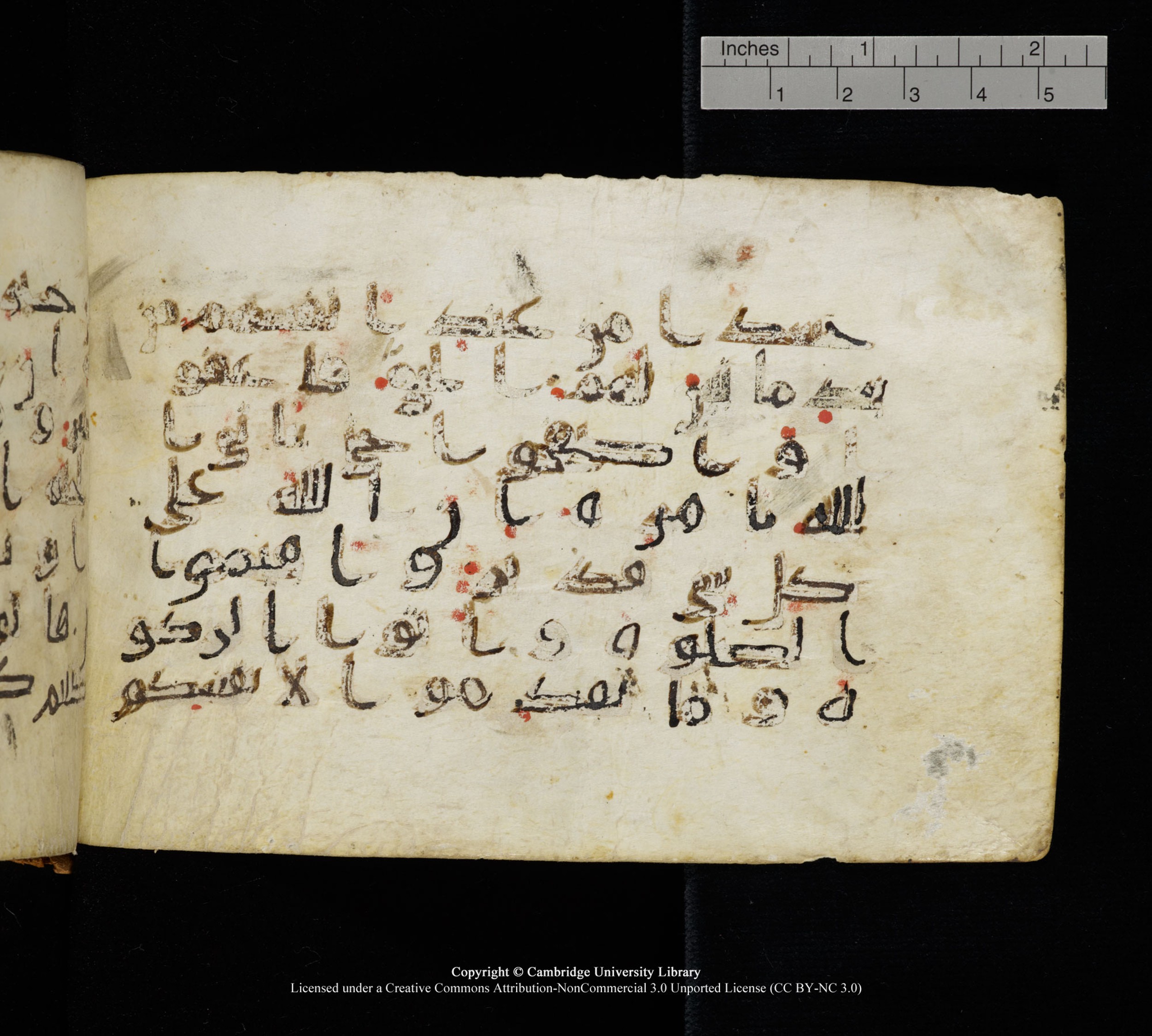 Cambridge, Cambridge University Library, MS Add.1111 (Scan 2), in kūfī D.I / D.IV script, showing Surah 2:109 from 9th or 10th Century AD found in Sinai Peninsula, currently housed at Cambridge University Library, Cambridge