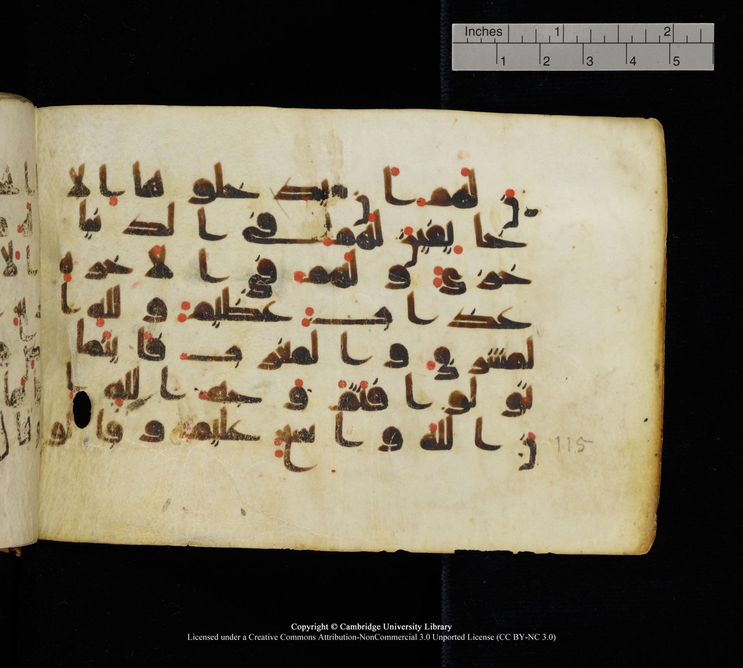 Cambridge, Cambridge University Library, MS Add.1111 (Scan 1), in kūfī D.I / D.IV script, showing Surah 2:116 from 9th or 10th Century AD found in Sinai Peninsula, currently housed at Cambridge University Library, Cambridge
