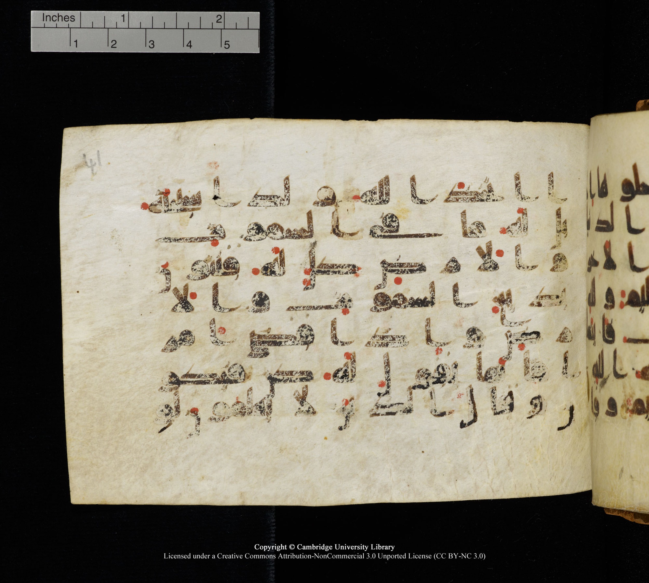 Cambridge, Cambridge University Library, MS Add.1111 (Scan 2), in kūfī D.I / D.IV script, showing Surah 2:116 from 9th or 10th Century AD found in Sinai Peninsula, currently housed at Cambridge University Library, Cambridge